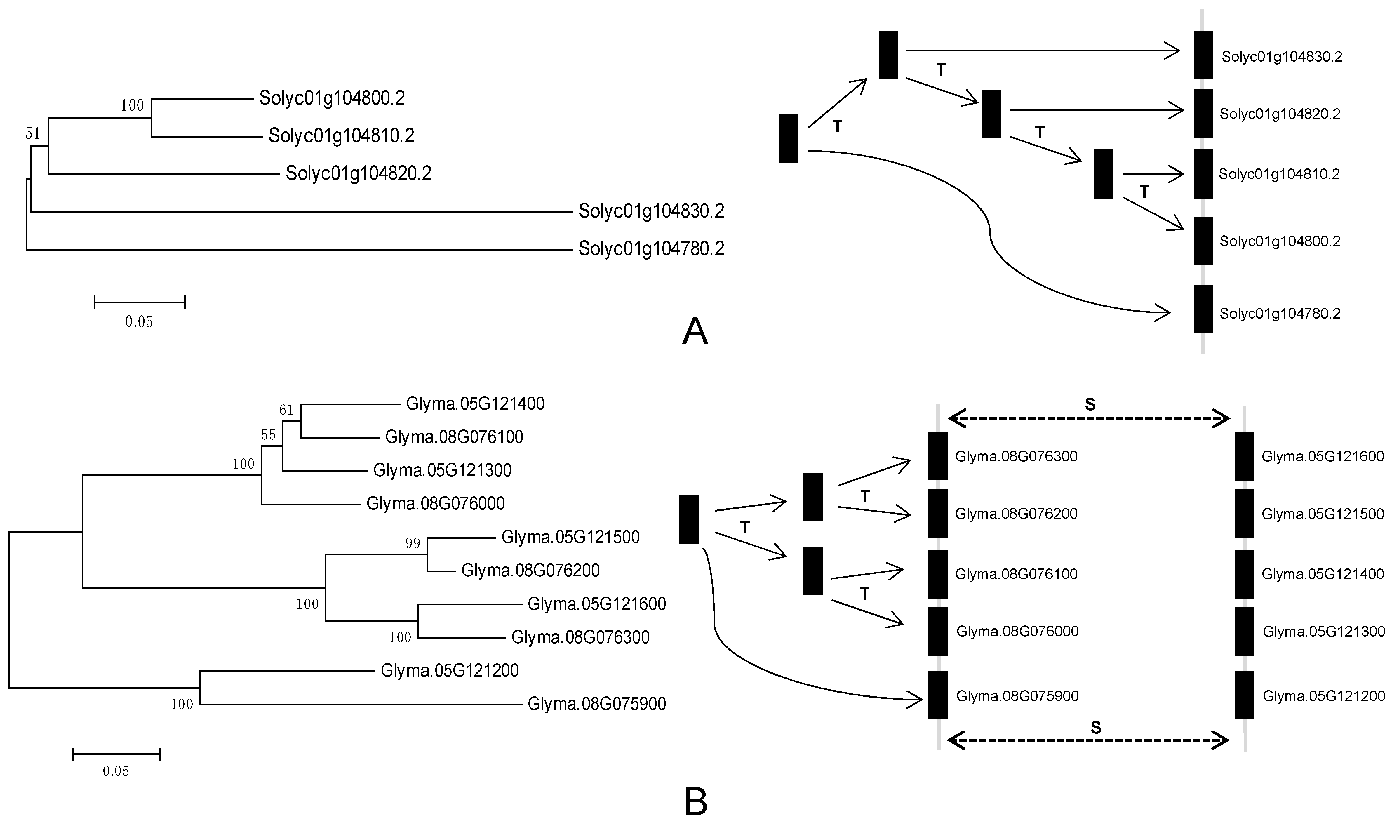 Genes 10 00144 g002