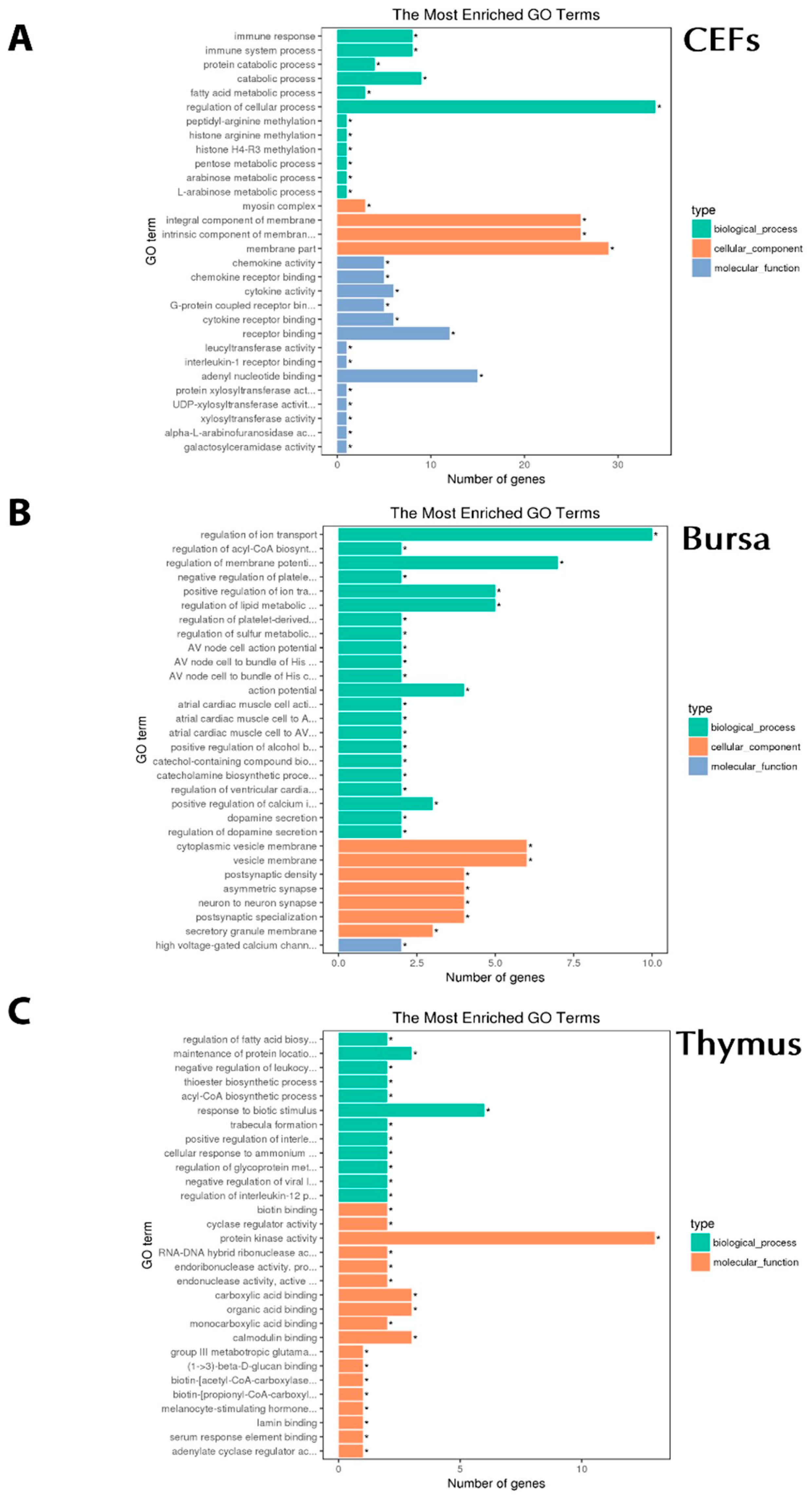 Genes 10 00145 g004
