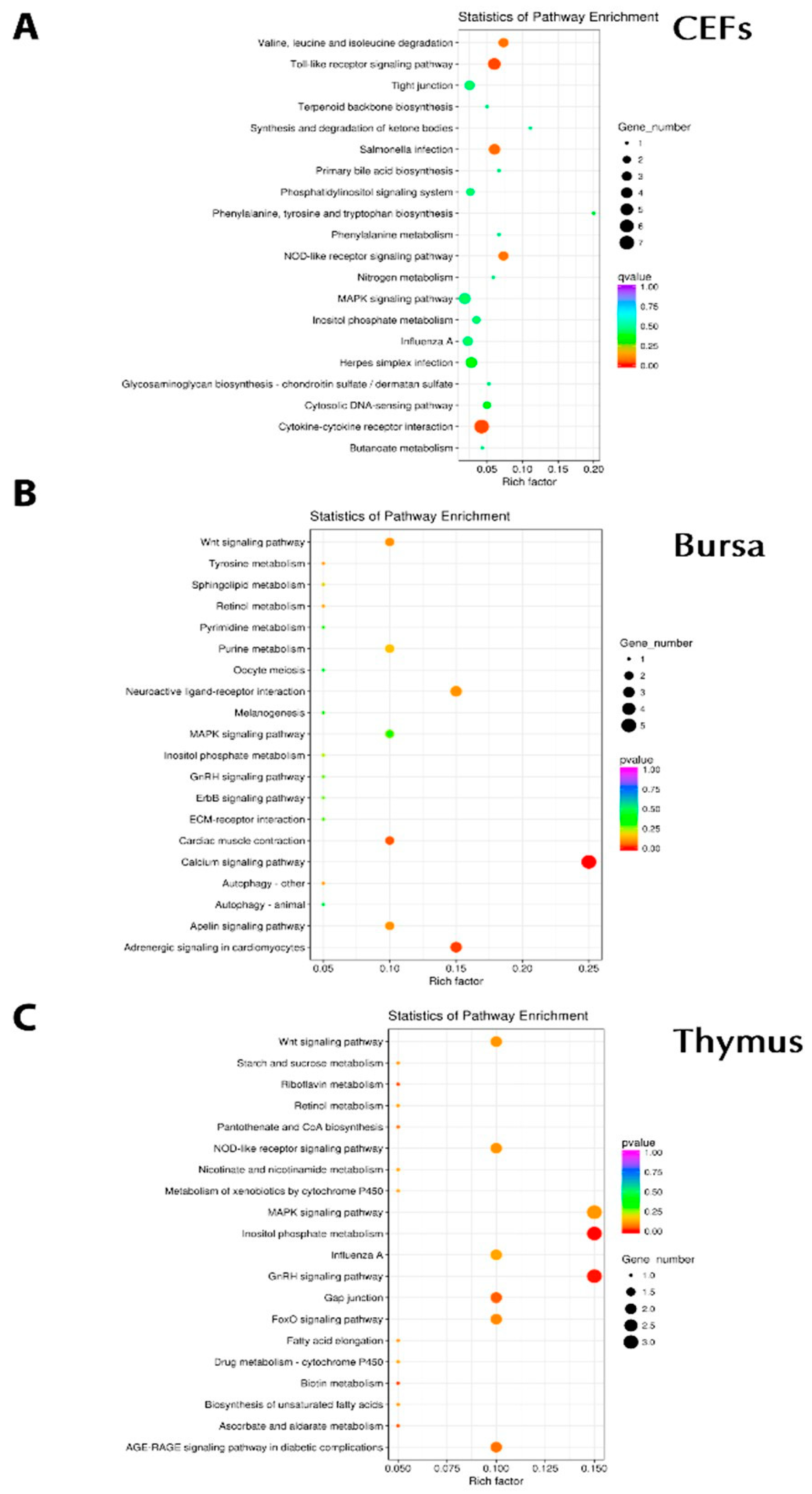 Genes 10 00145 g005