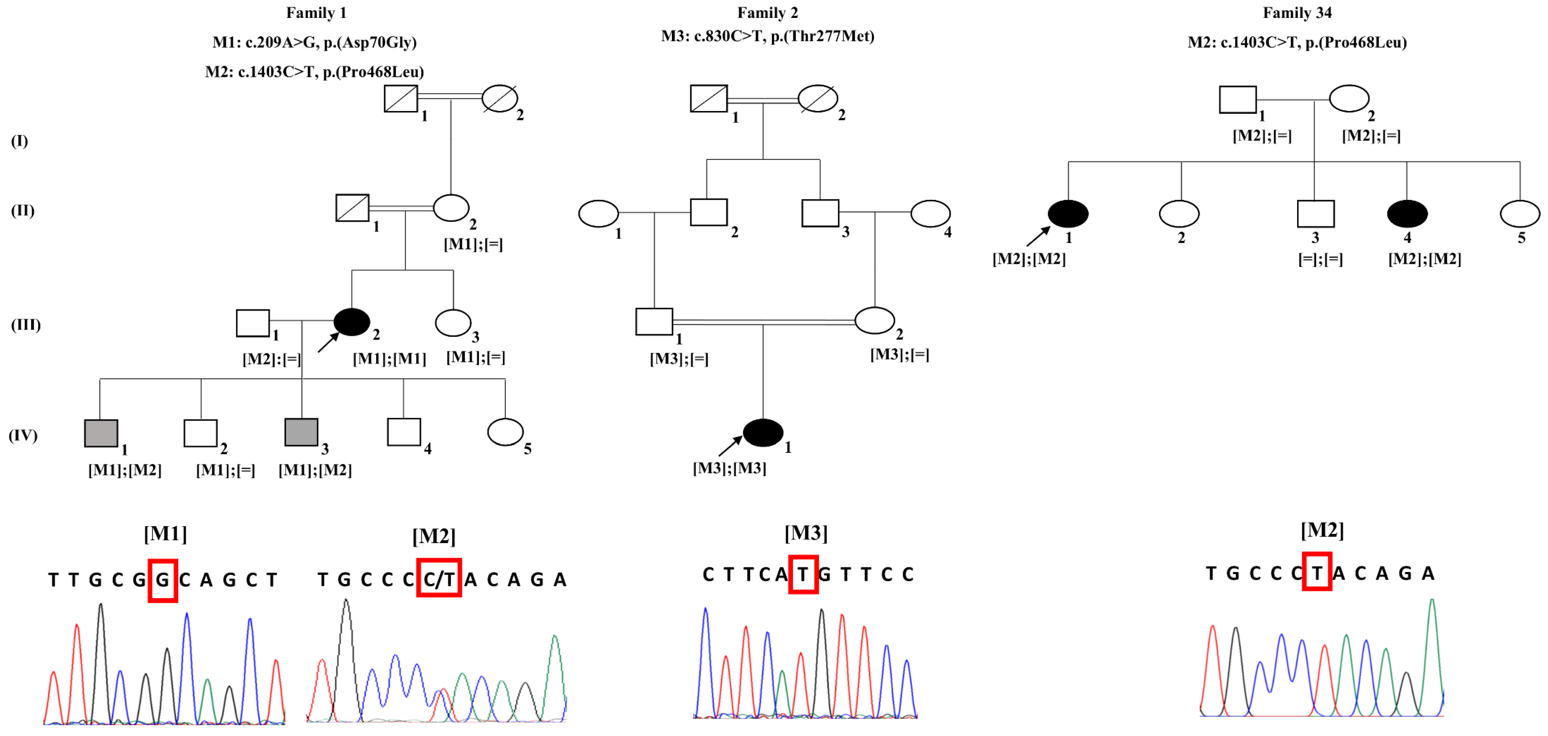 Genes 10 00151 g001 Genes 10 00151 g001