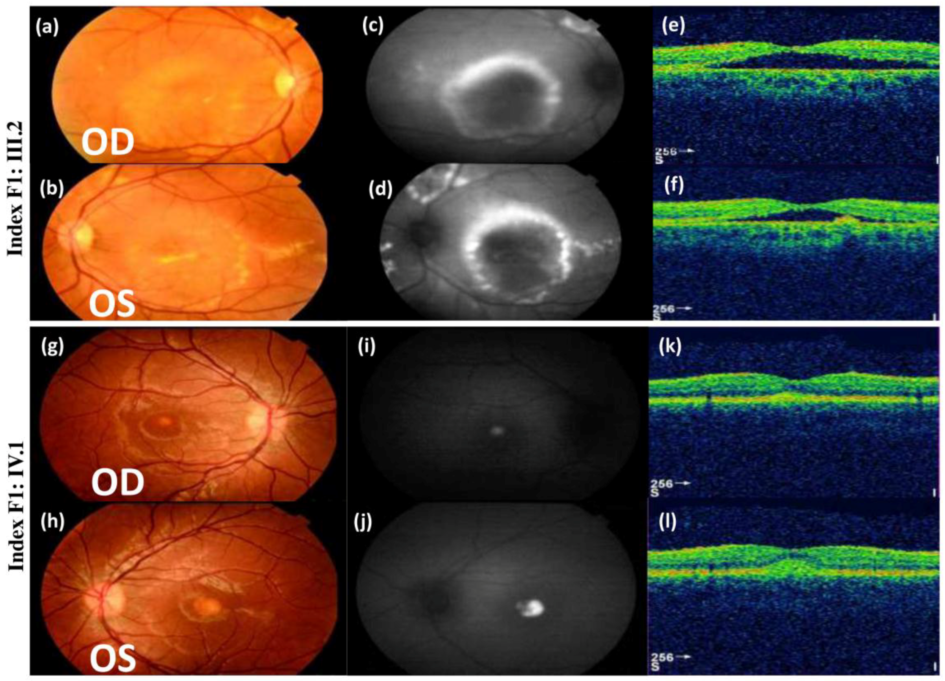 Genes 10 00151 g002 Genes 10 00151 g002
