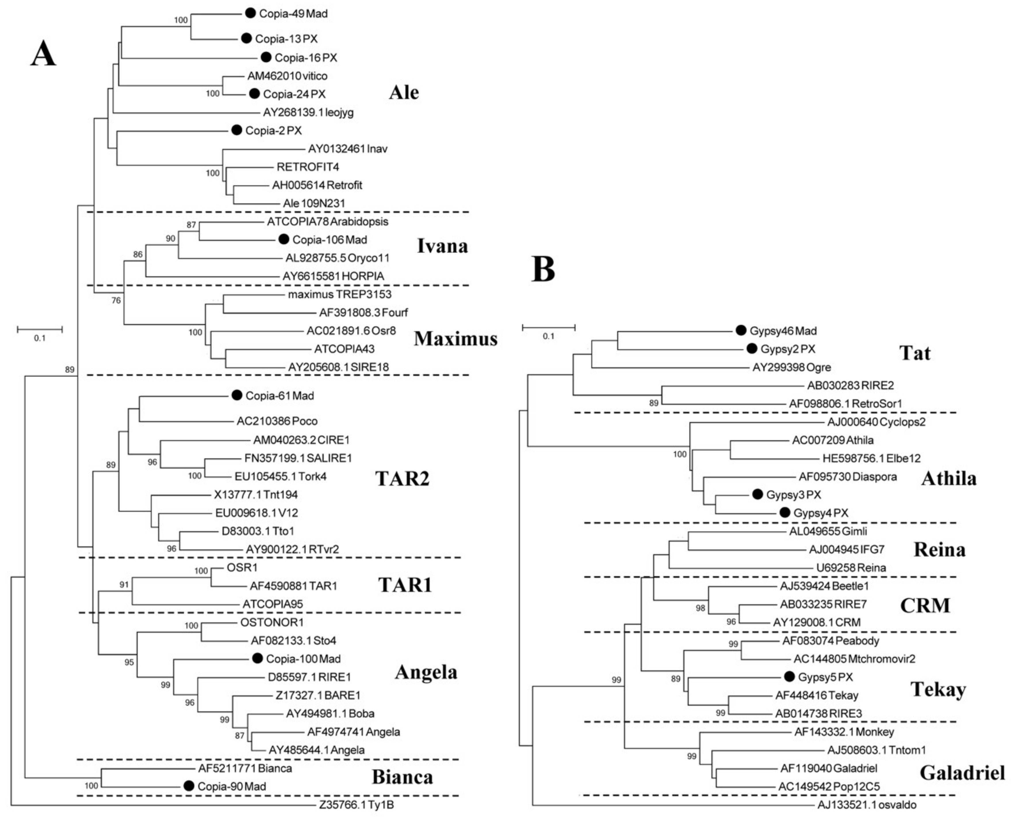 Genes 10 00156 g003 Genes 10 00156 g003