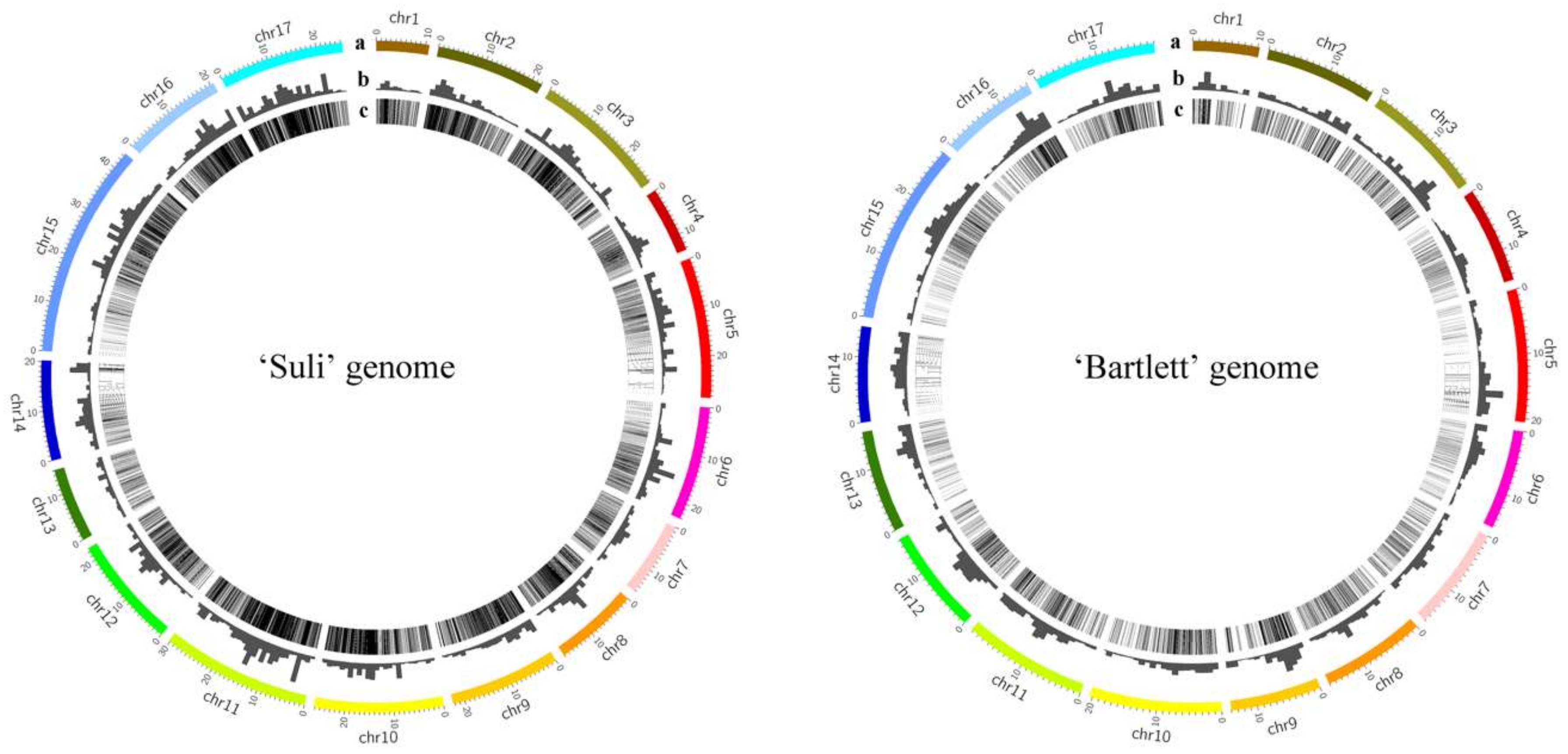 Genes 10 00156 g005 Genes 10 00156 g005