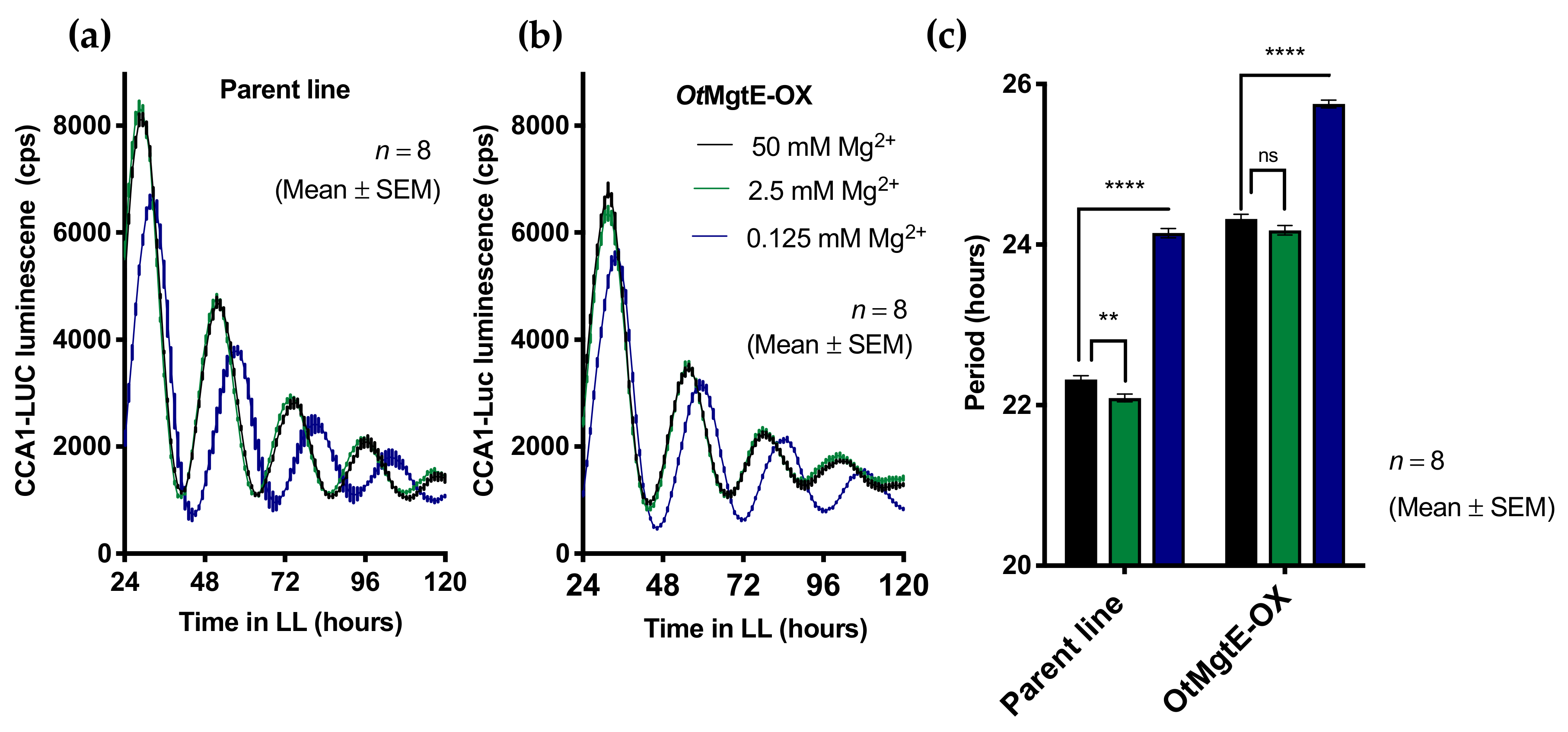 Genes 10 00158 g004