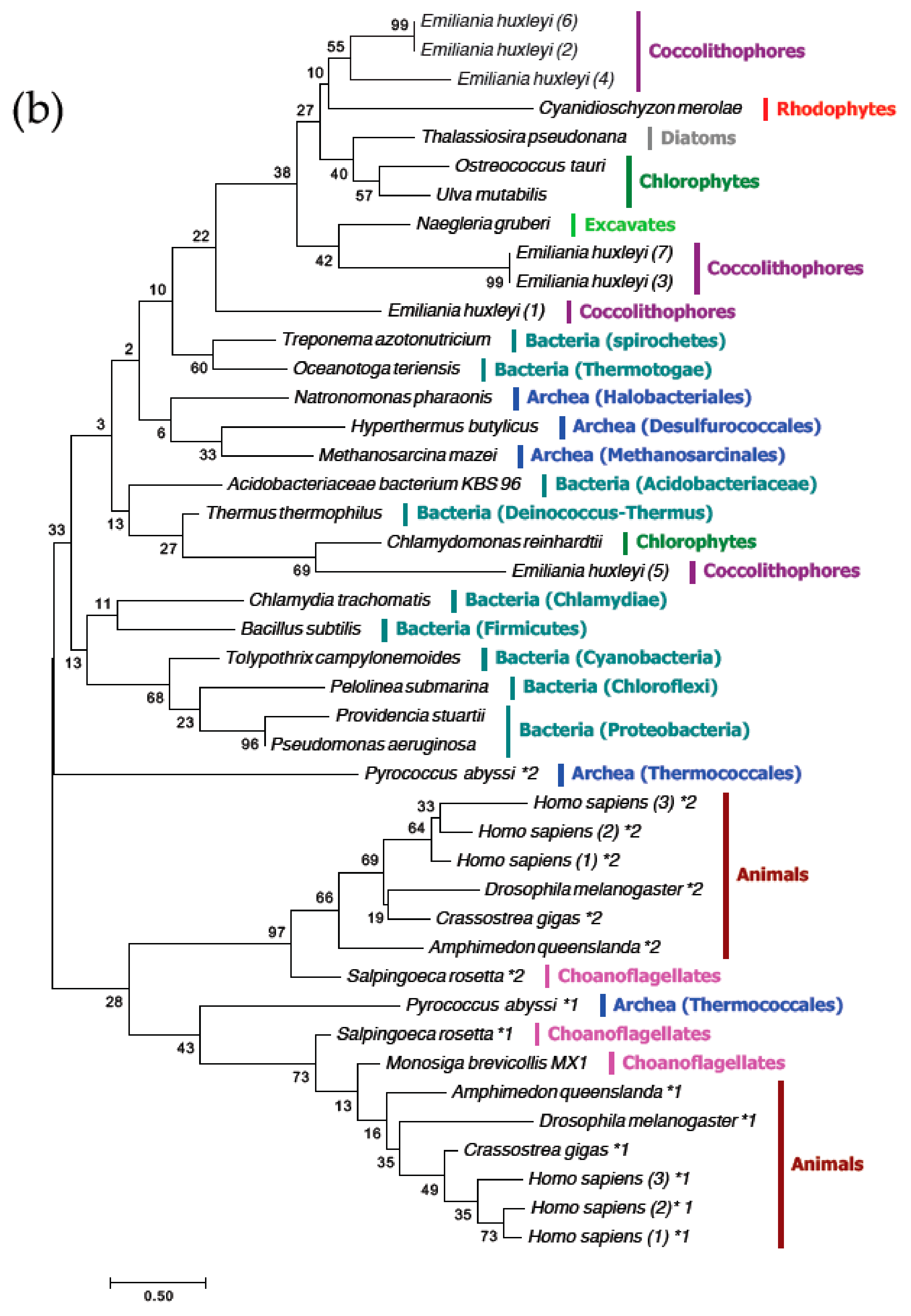 Genes 10 00158 g005b