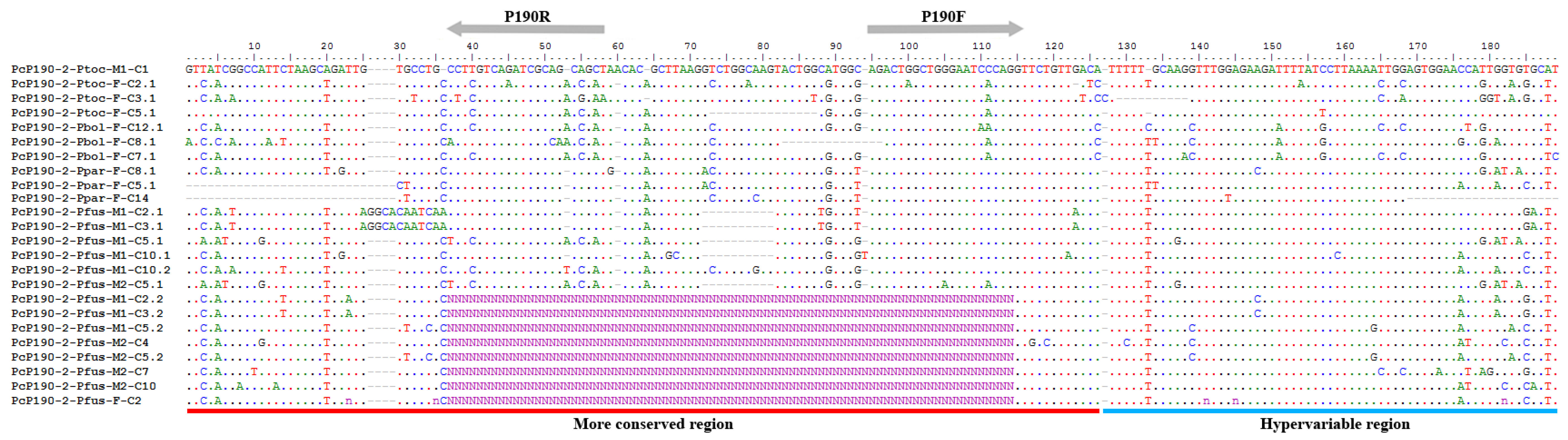 Genes 10 00160 g003 Genes 10 00160 g003