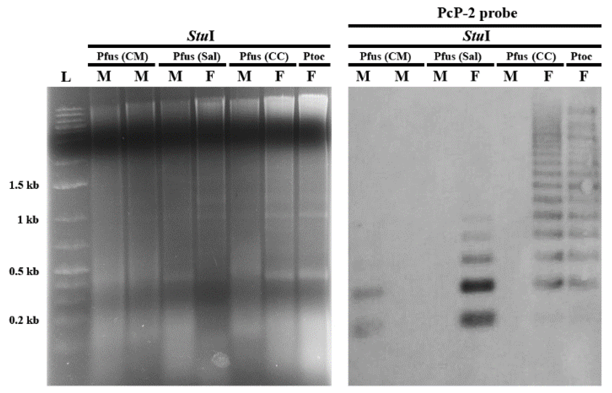 Genes 10 00160 g004 Genes 10 00160 g004