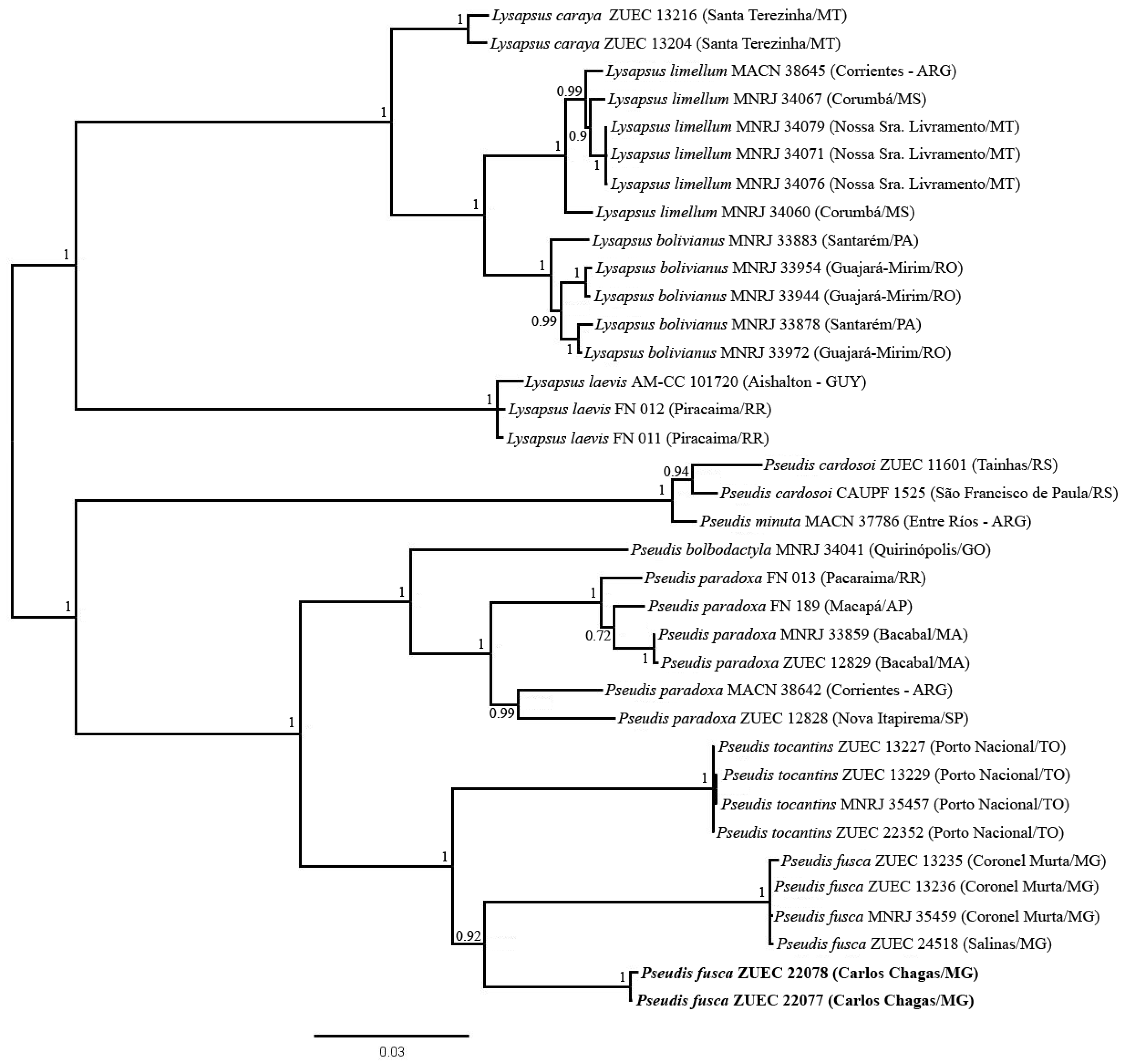 Genes 10 00160 g007 Genes 10 00160 g007
