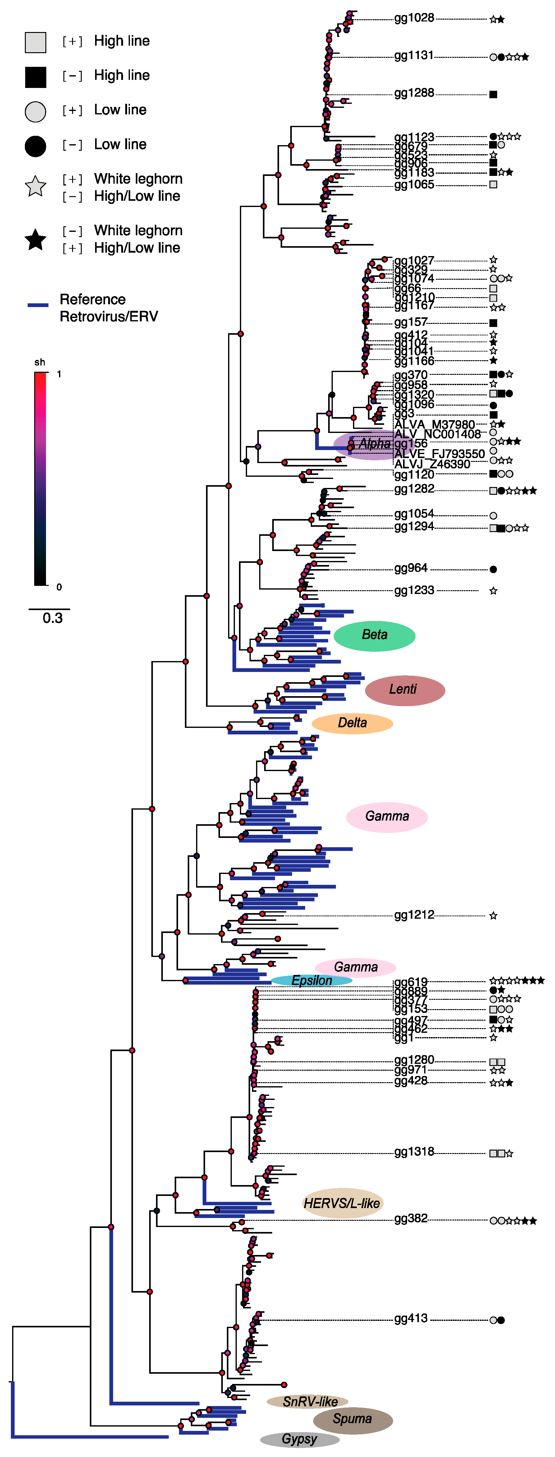 Genes 10 00162 g003 550