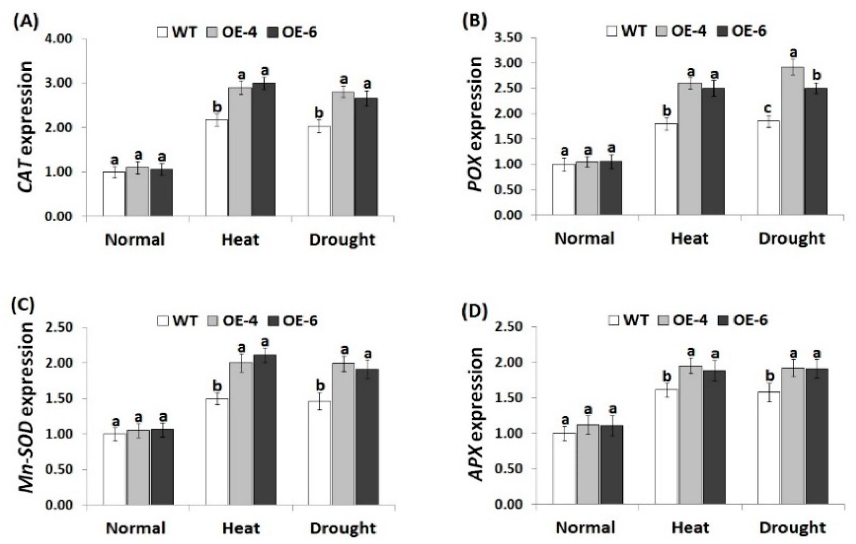 Genes 10 00163 g006 550
