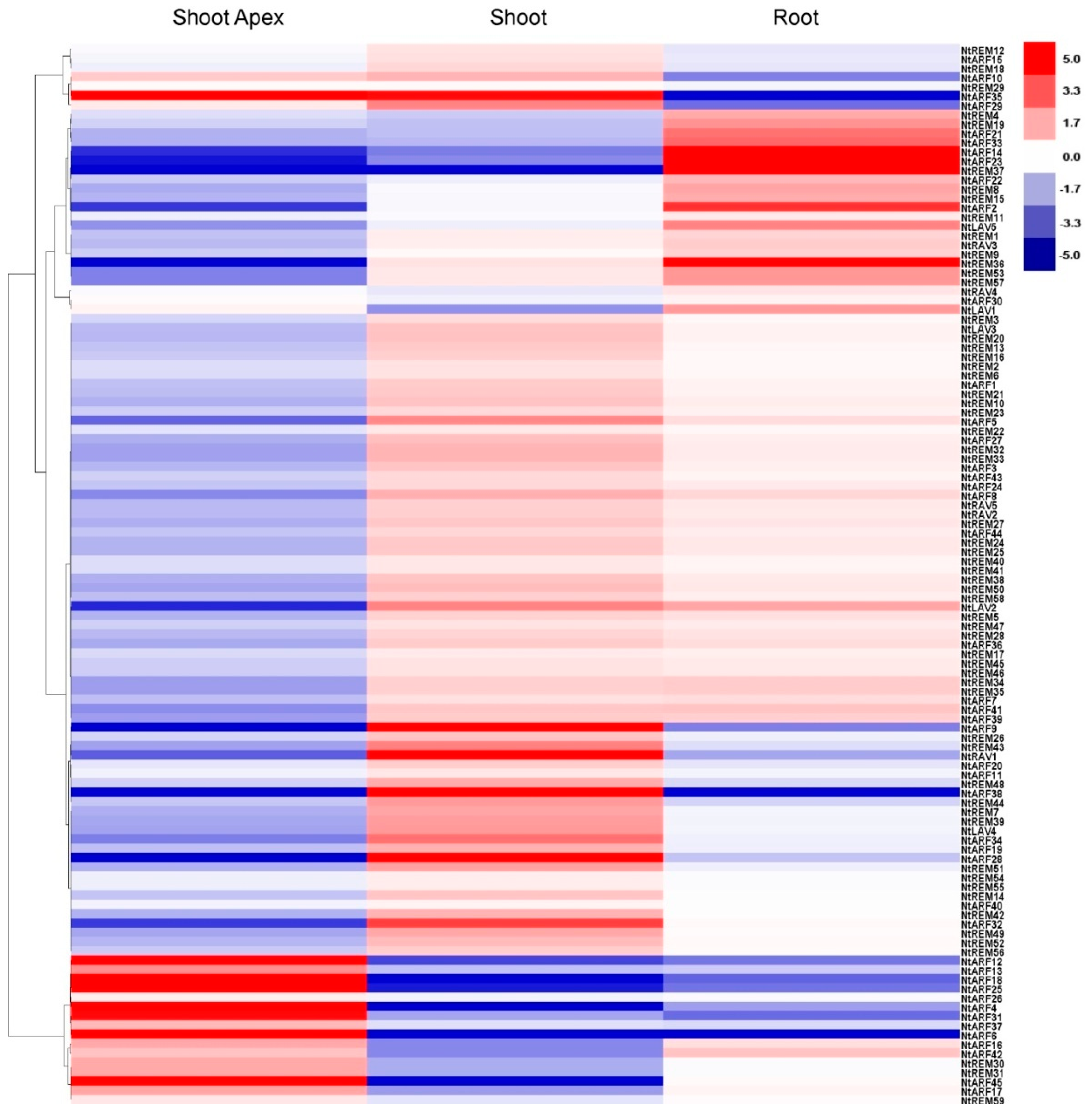Genes 10 00164 g006