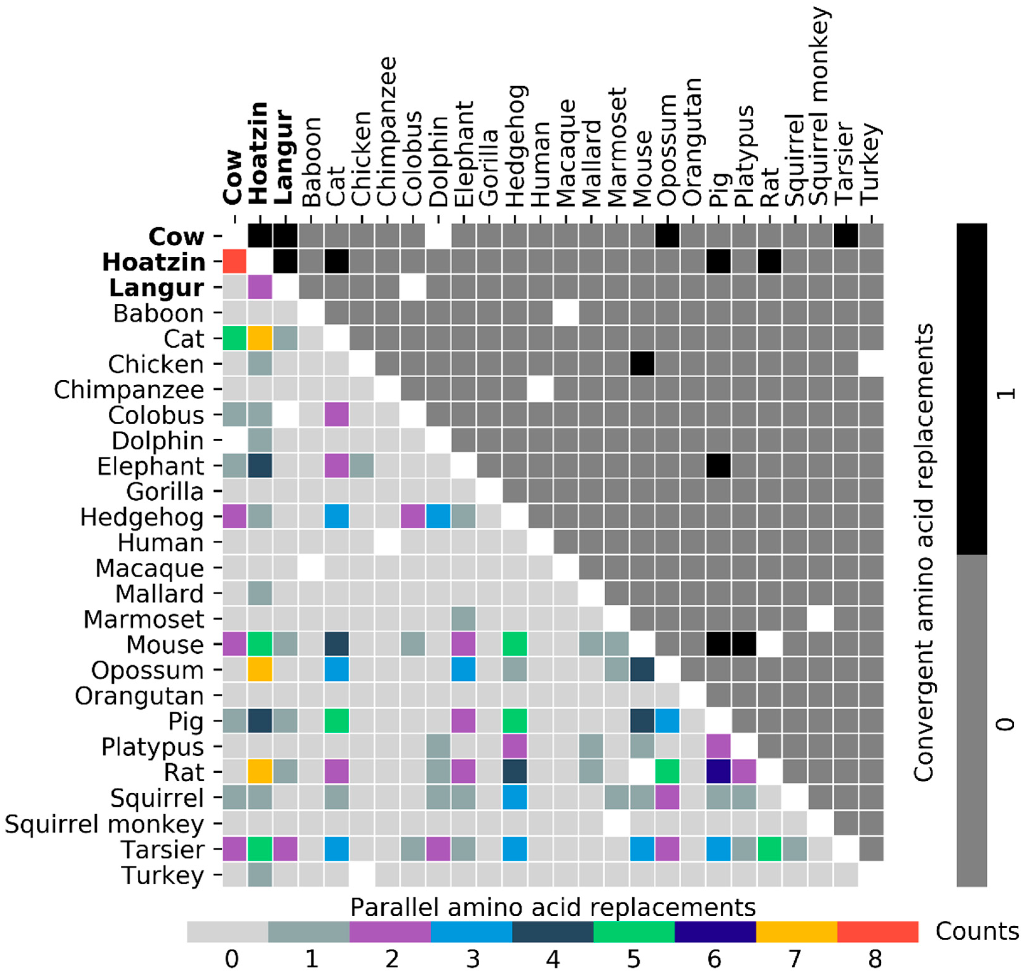 Genes 10 00181 g004 Genes 10 00181 g004