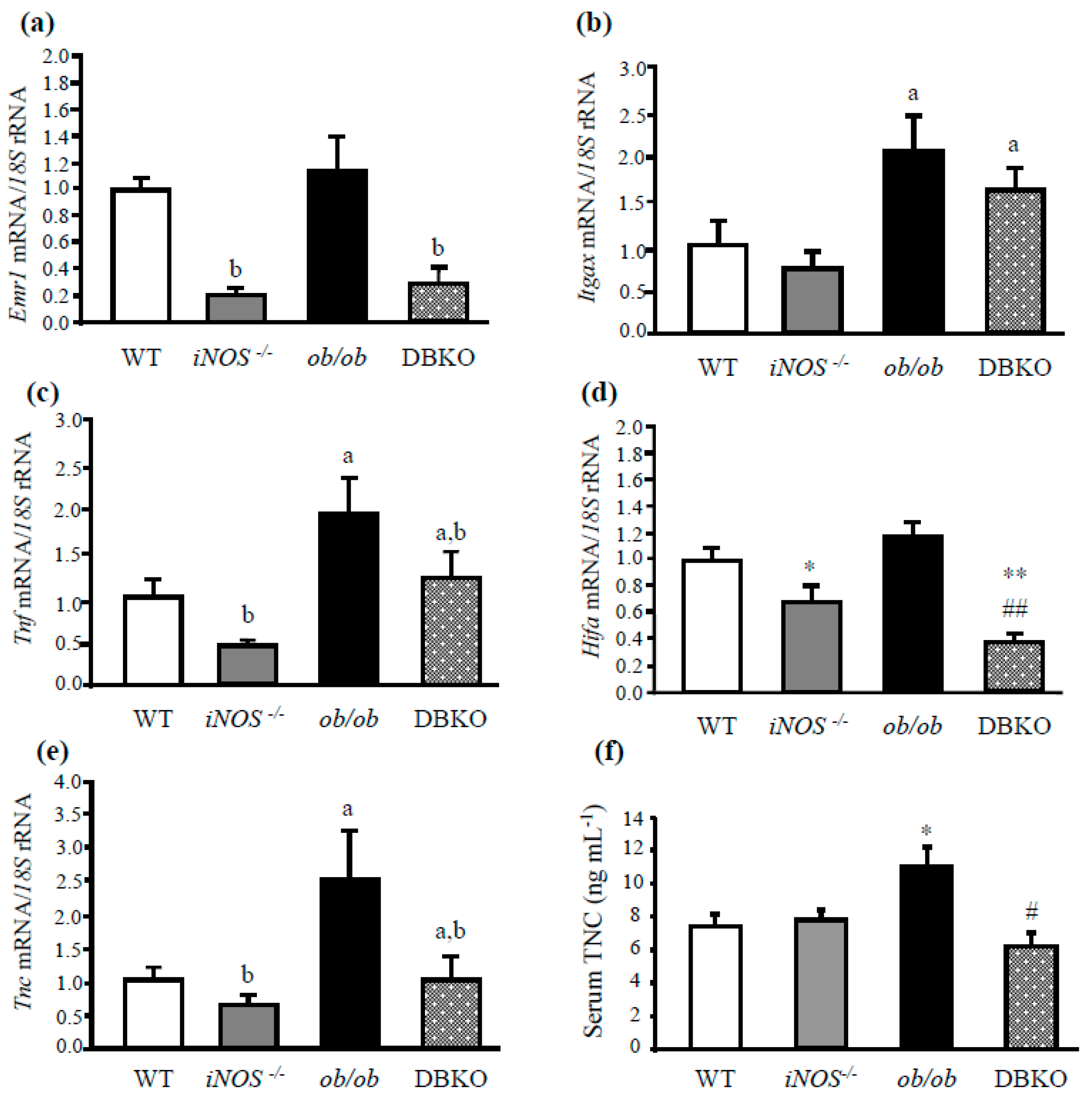 The Role of Extracellular Vesicles in the Pathogenesis of