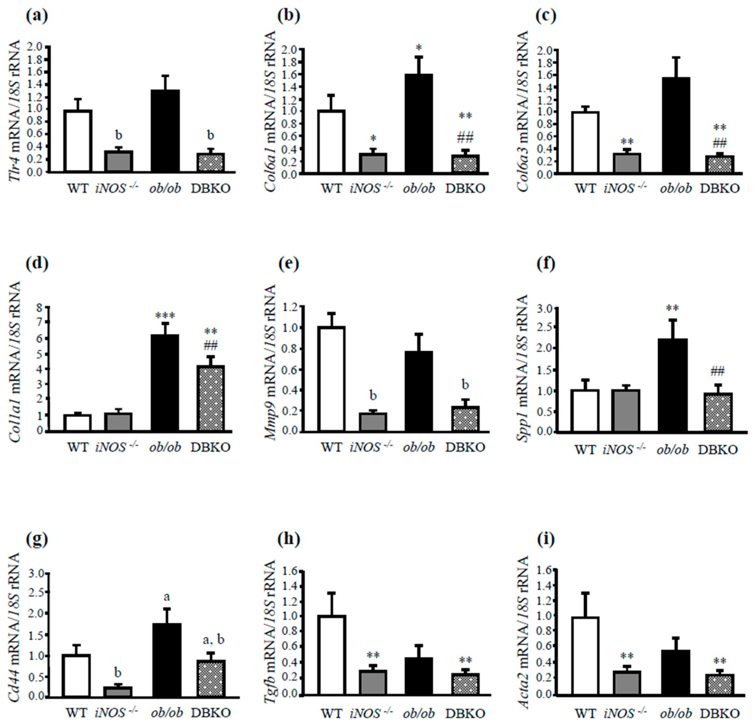 Genes 10 00184 g002