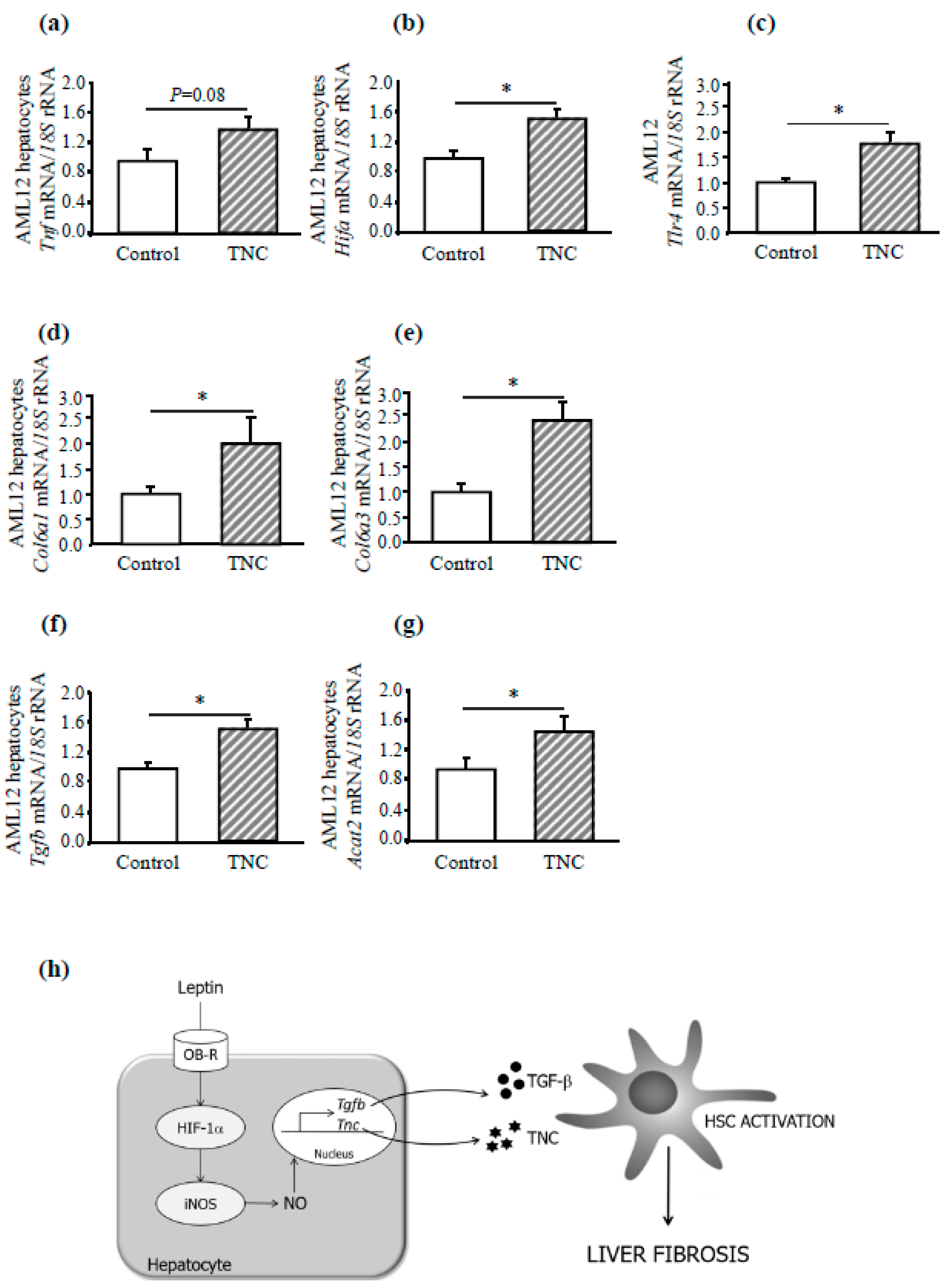 Genes 10 00184 g006