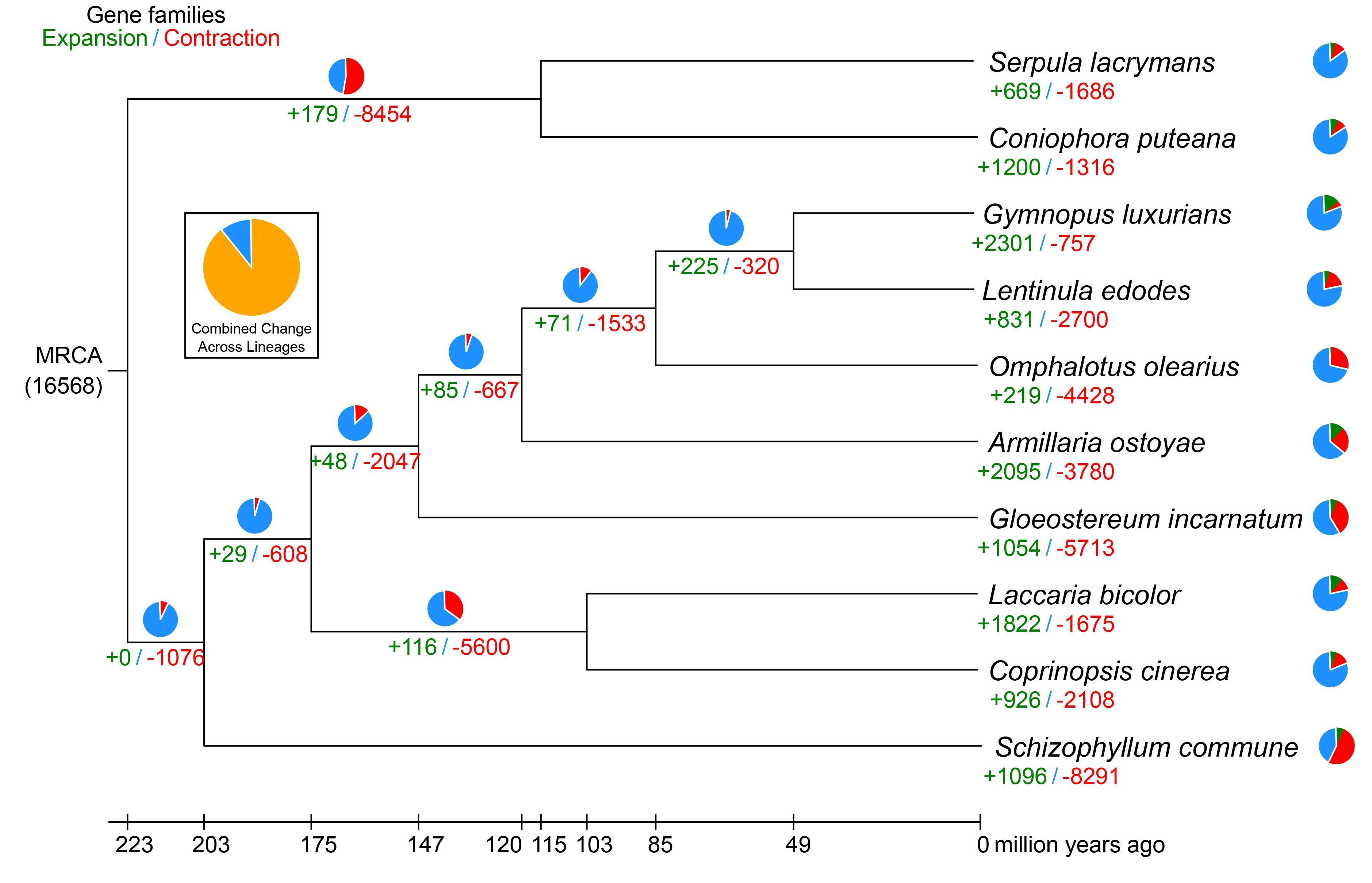 Genes 10 00188 g002 550