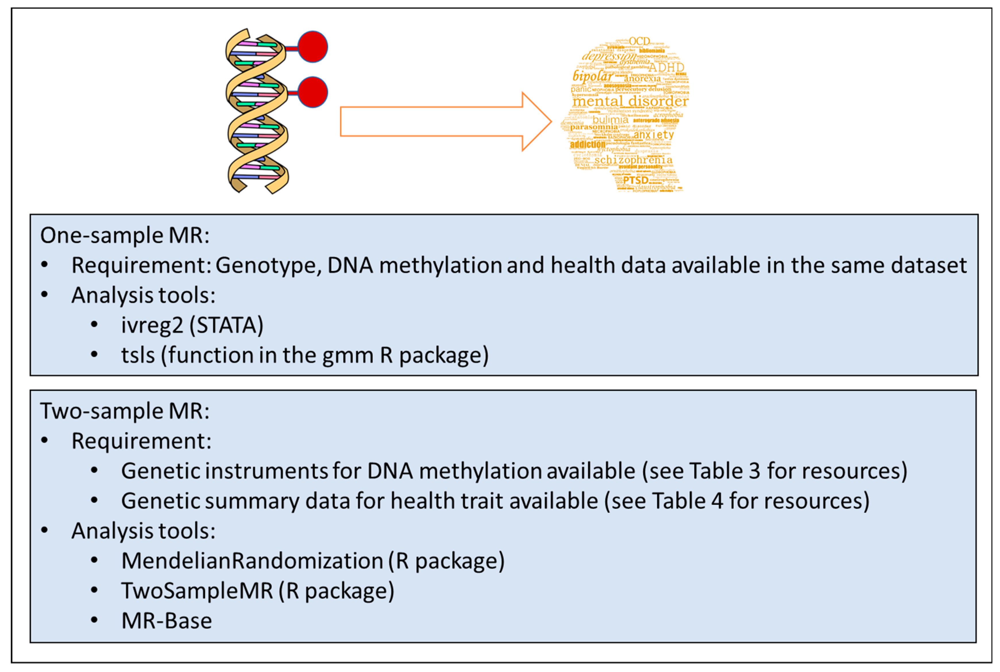 Genes 10 00193 g001 550