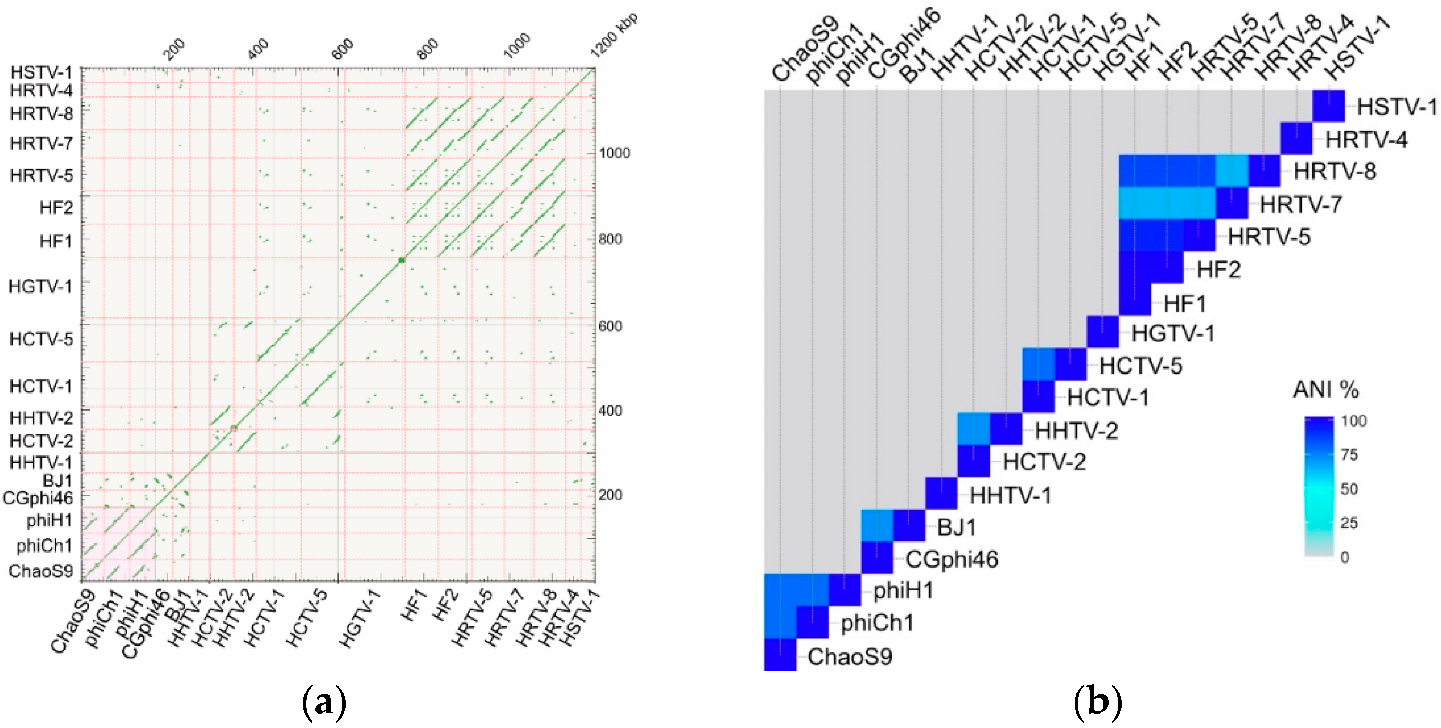 Genes 10 00194 g004
