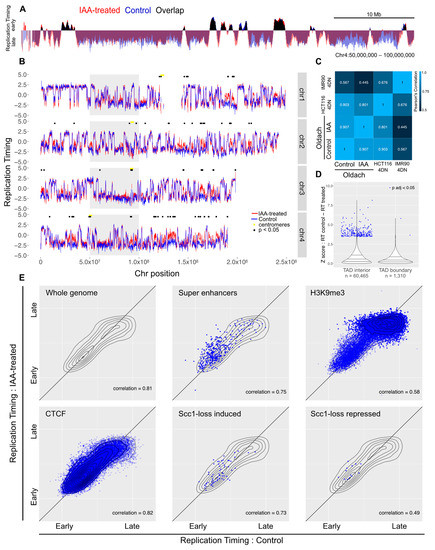 Special Issue : DNA Replication Timing: Where, When, How and Why? Biology Diagrams