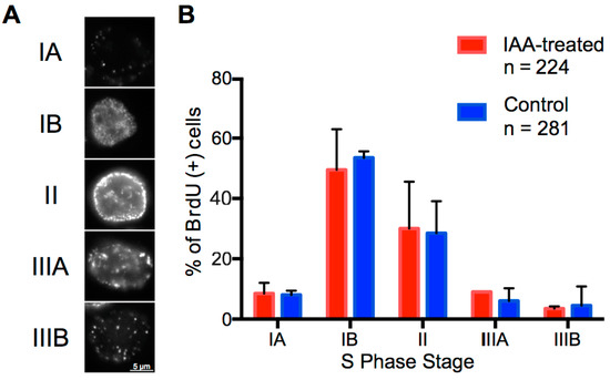 Special Issue : DNA Replication Timing: Where, When, How and Why? Biology Diagrams