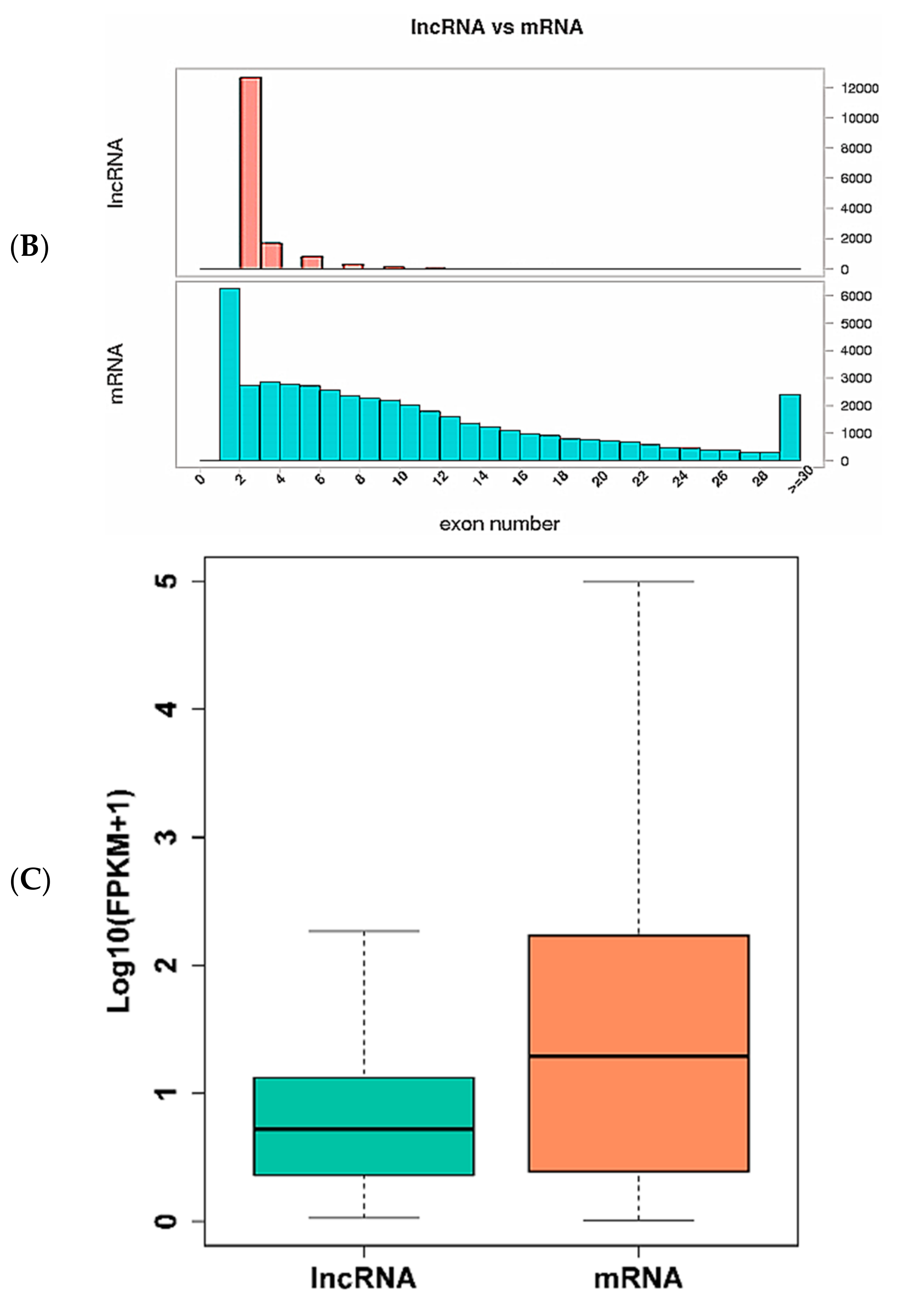 Genes 10 00201 g003b 550
