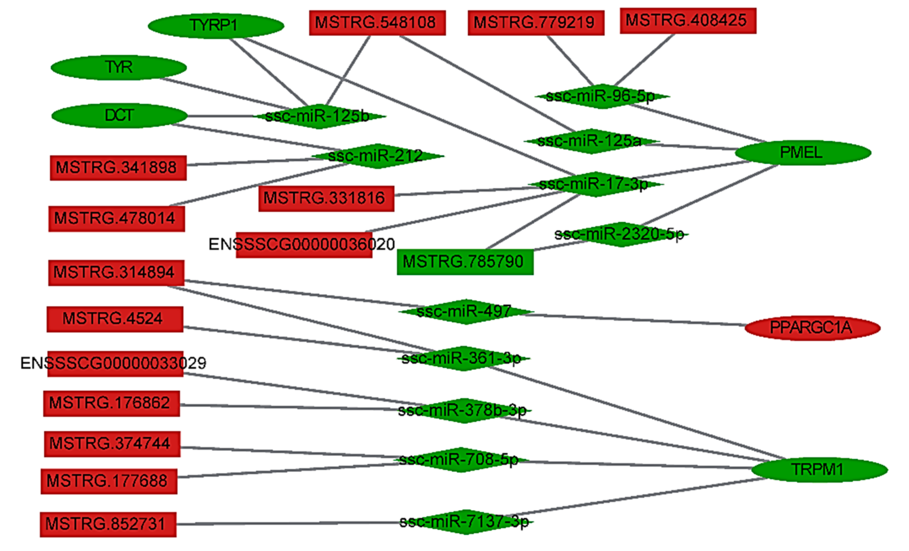 Genes 10 00201 g005 550