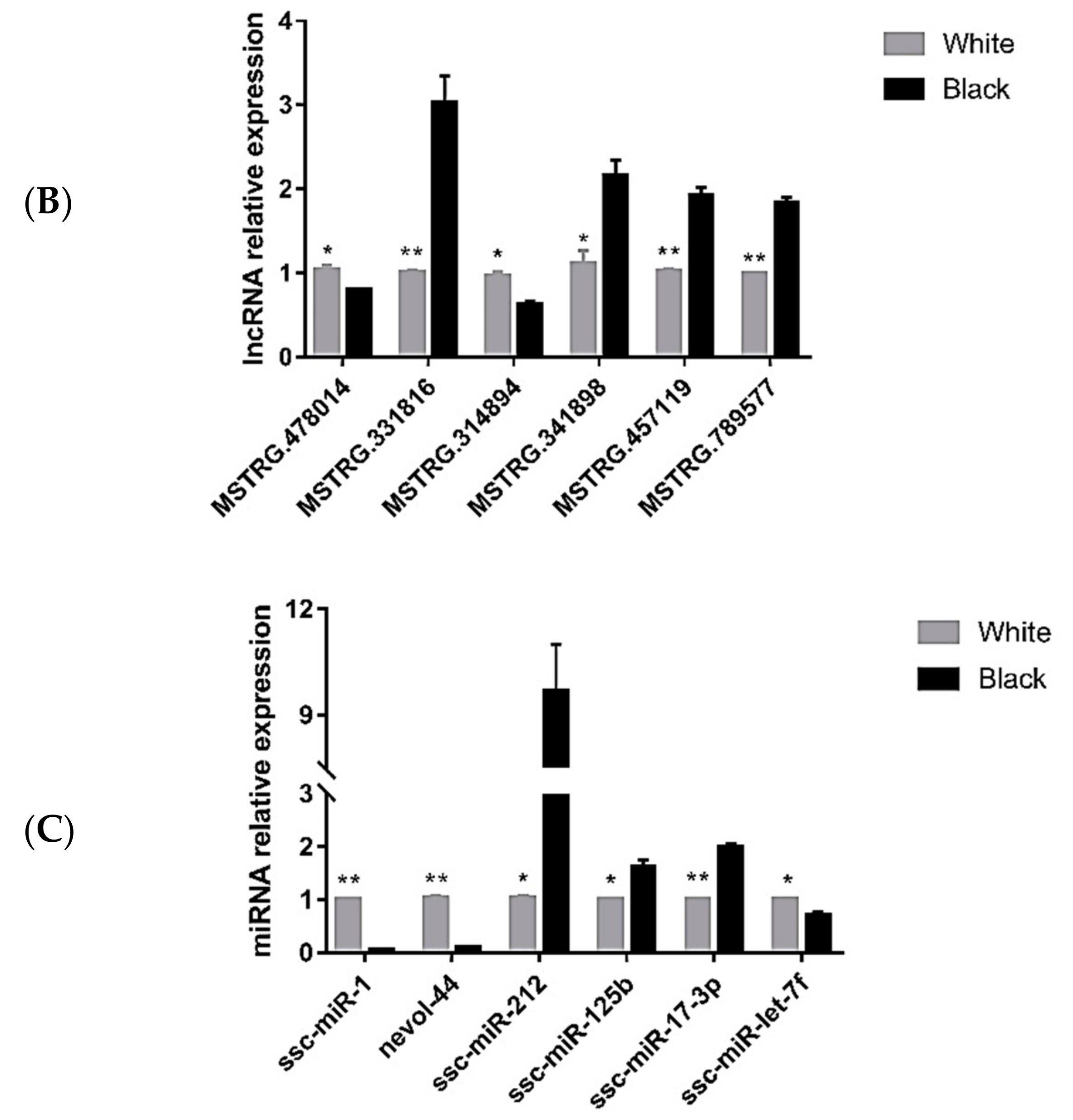 Genes 10 00201 g006b 550