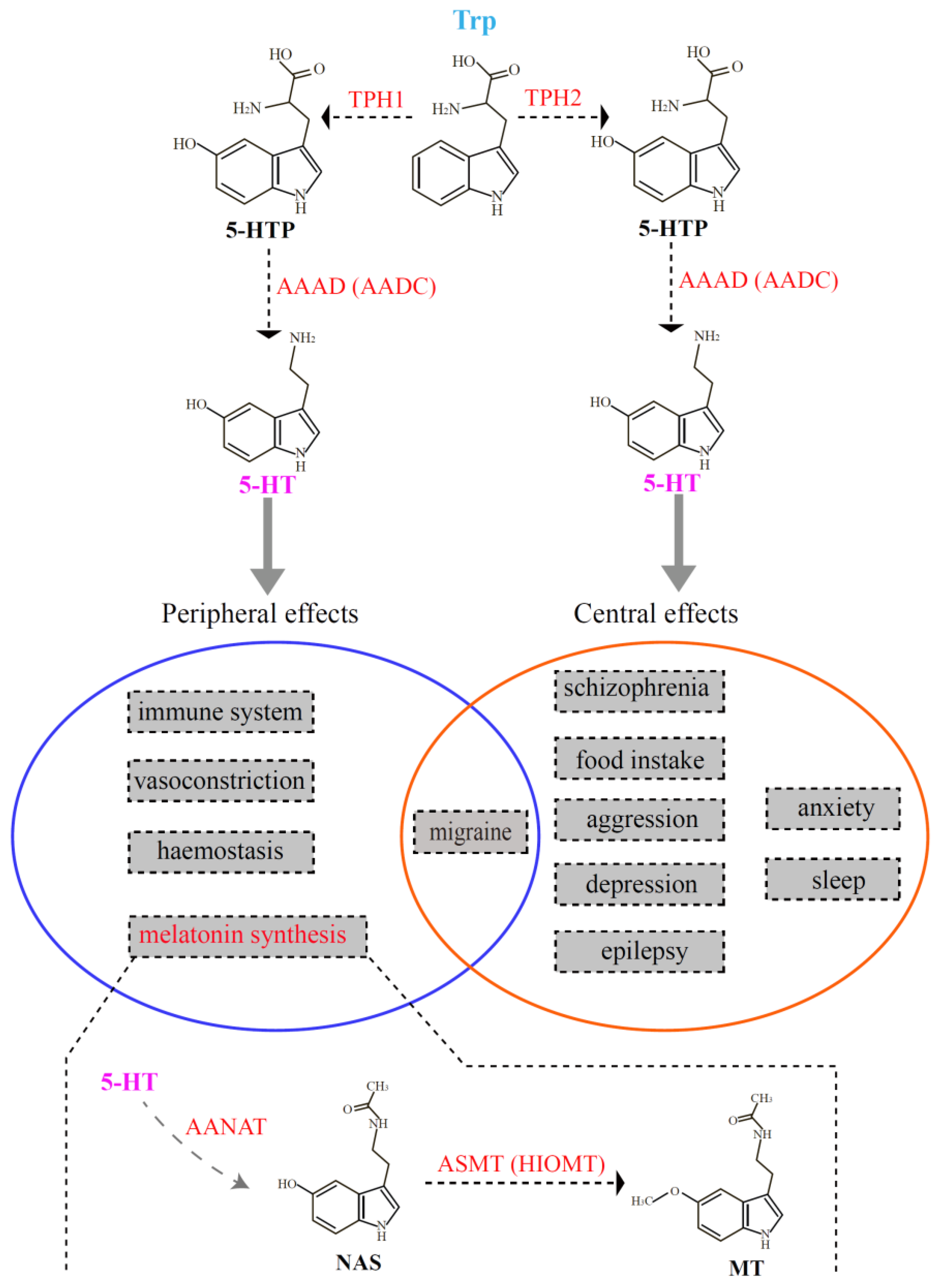 Genes 10 00203 g001 Genes 10 00203 g001