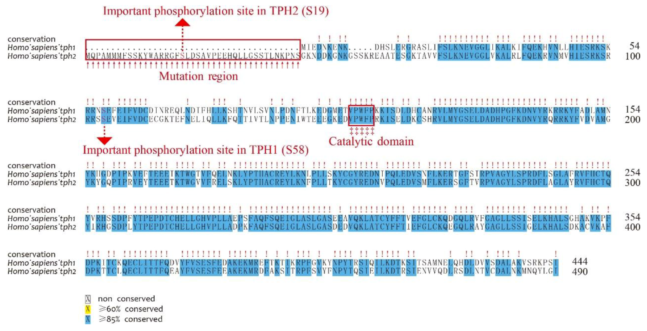 Genes 10 00203 g003 Genes 10 00203 g003