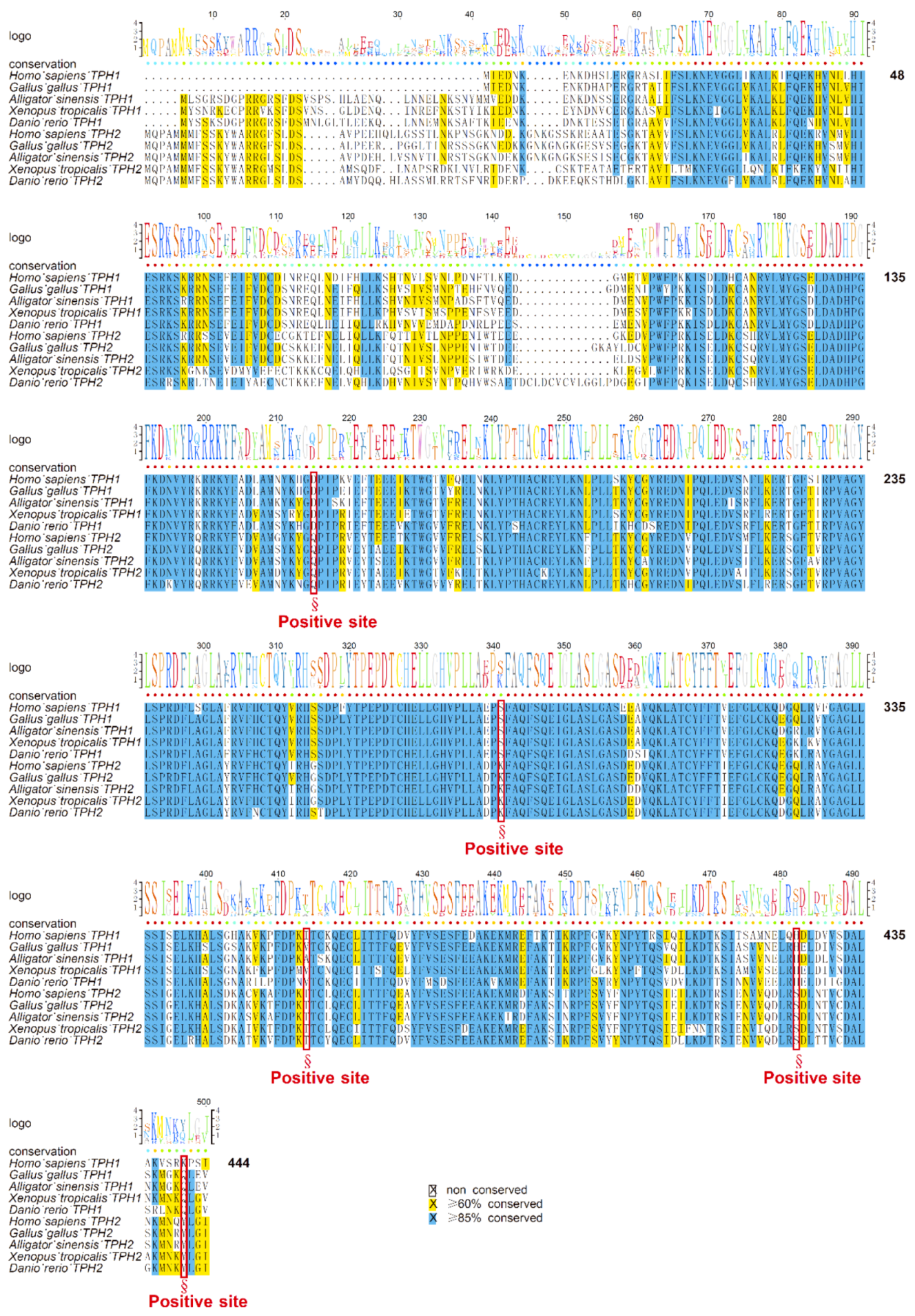 Genes 10 00203 g007 Genes 10 00203 g007