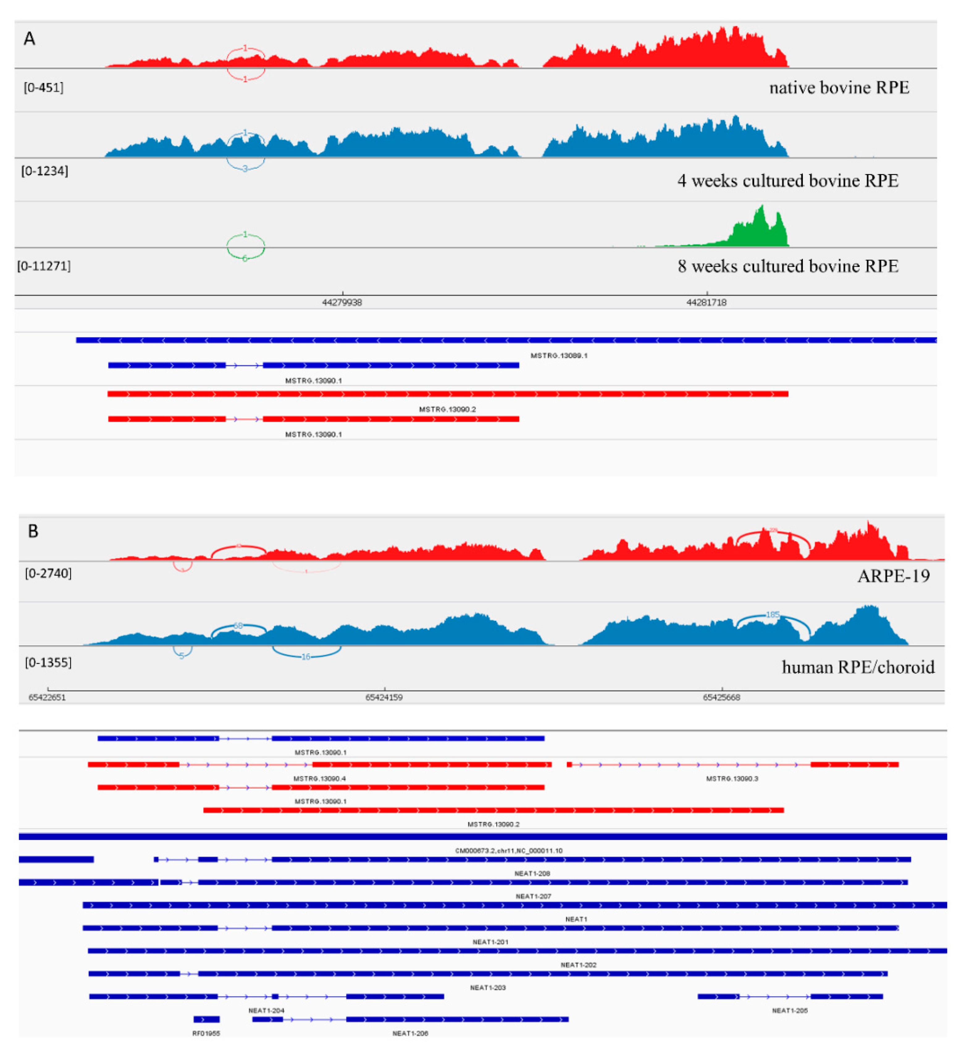 Genes 10 00205 g002 550
