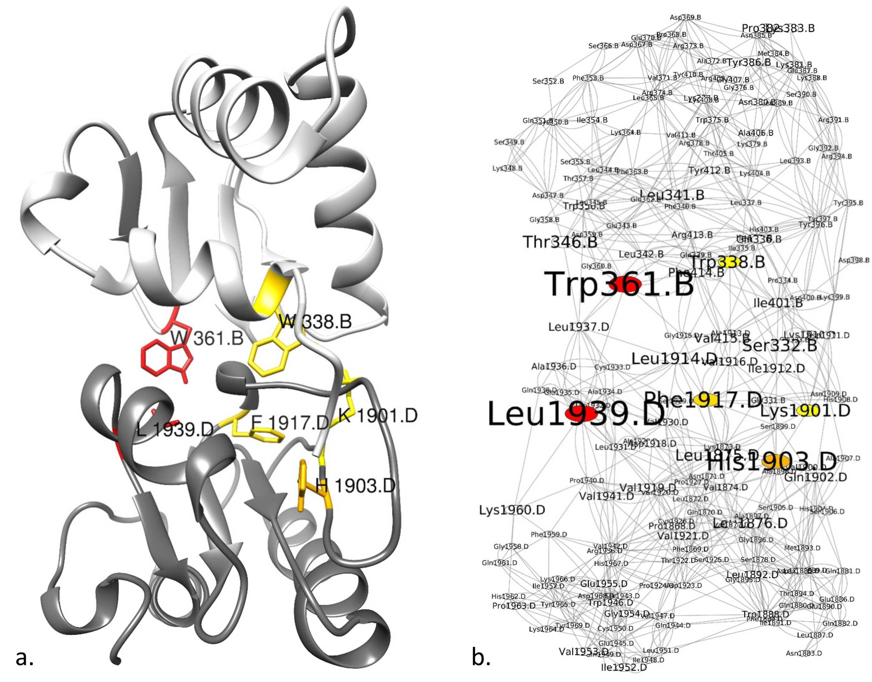 Genes 10 00206 g0a1 550