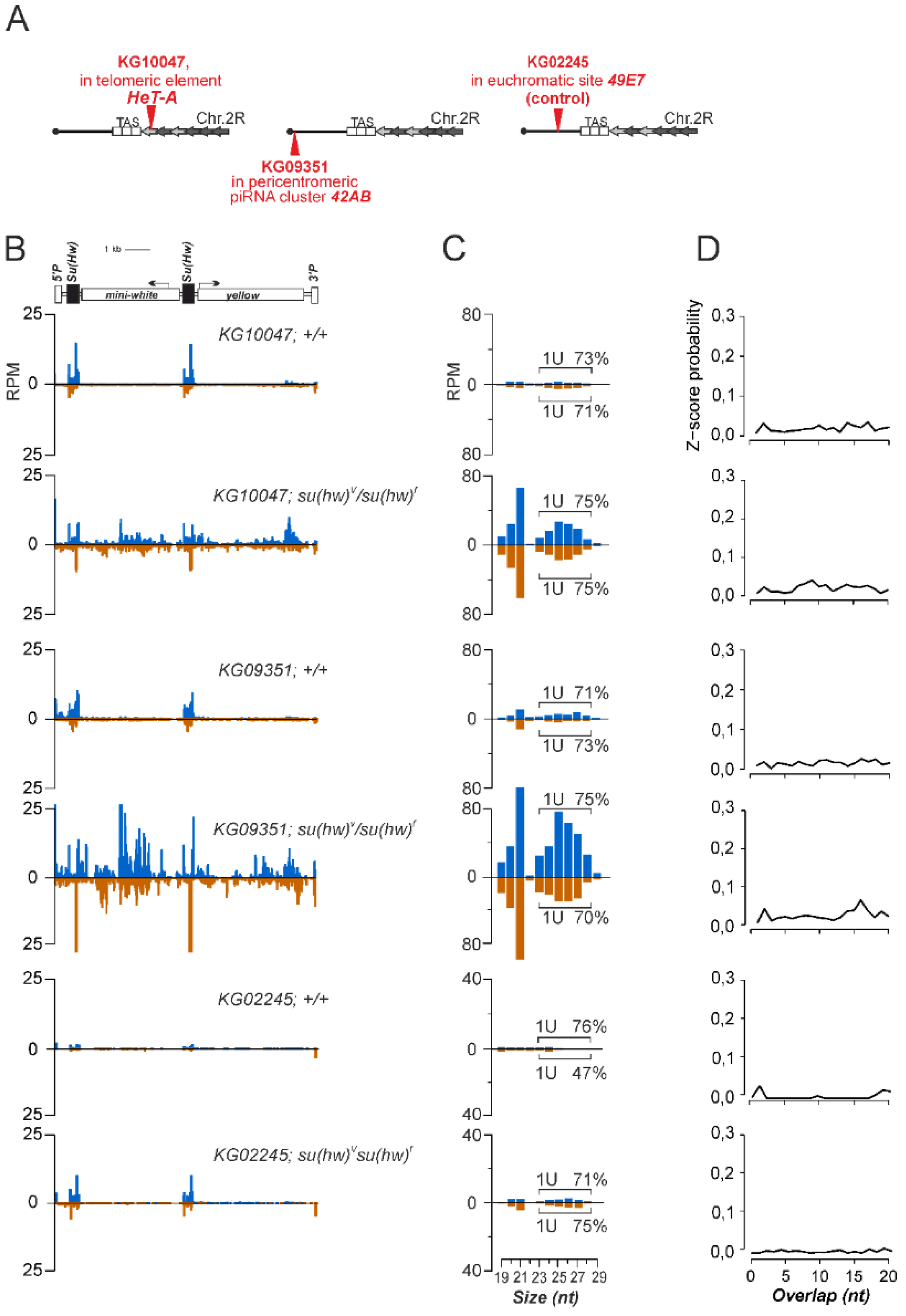 Genes 10 00209 g001 Genes 10 00209 g001