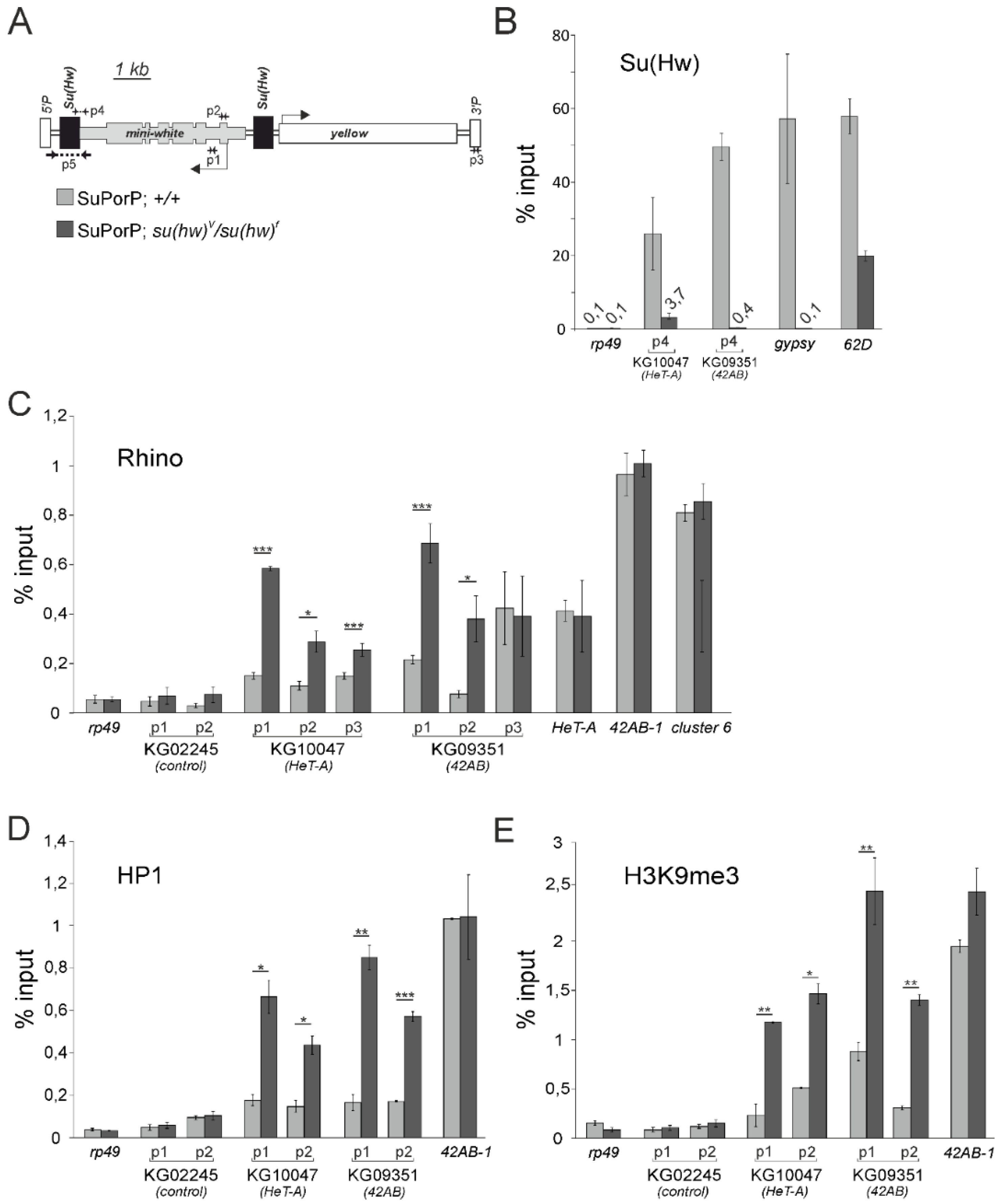 Genes 10 00209 g002 Genes 10 00209 g002