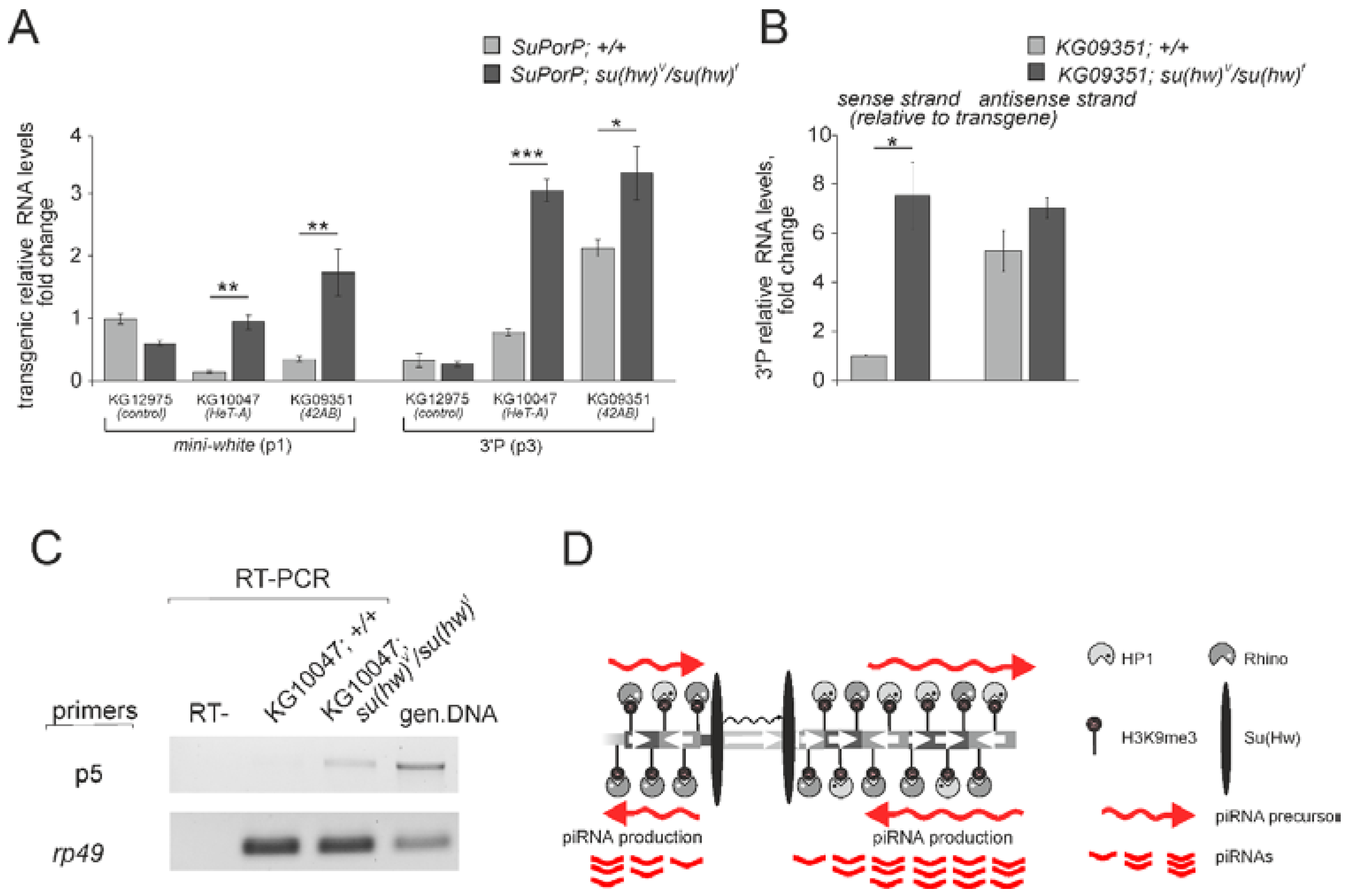 Genes 10 00209 g003 Genes 10 00209 g003