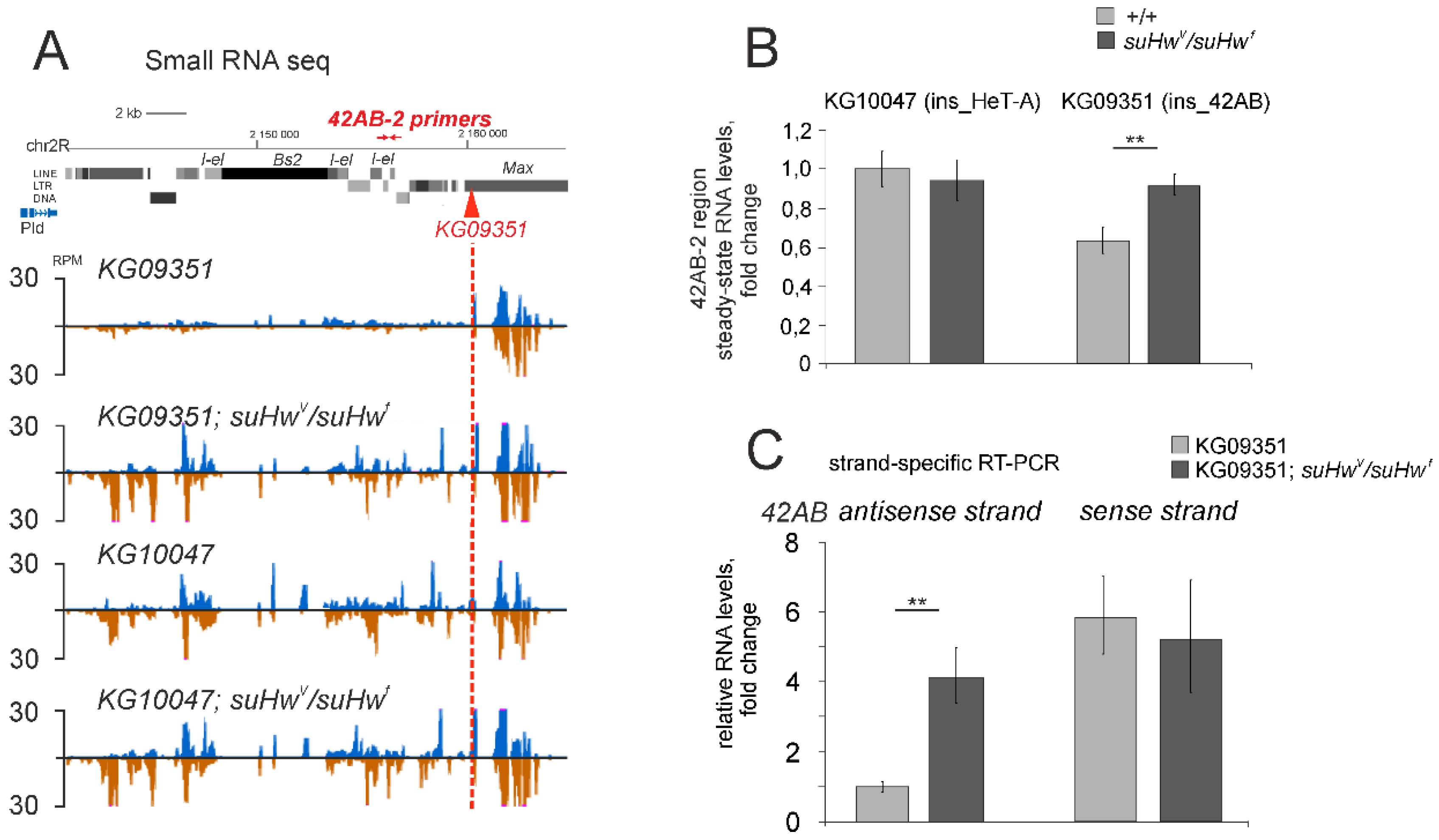 Genes 10 00209 g004 Genes 10 00209 g004