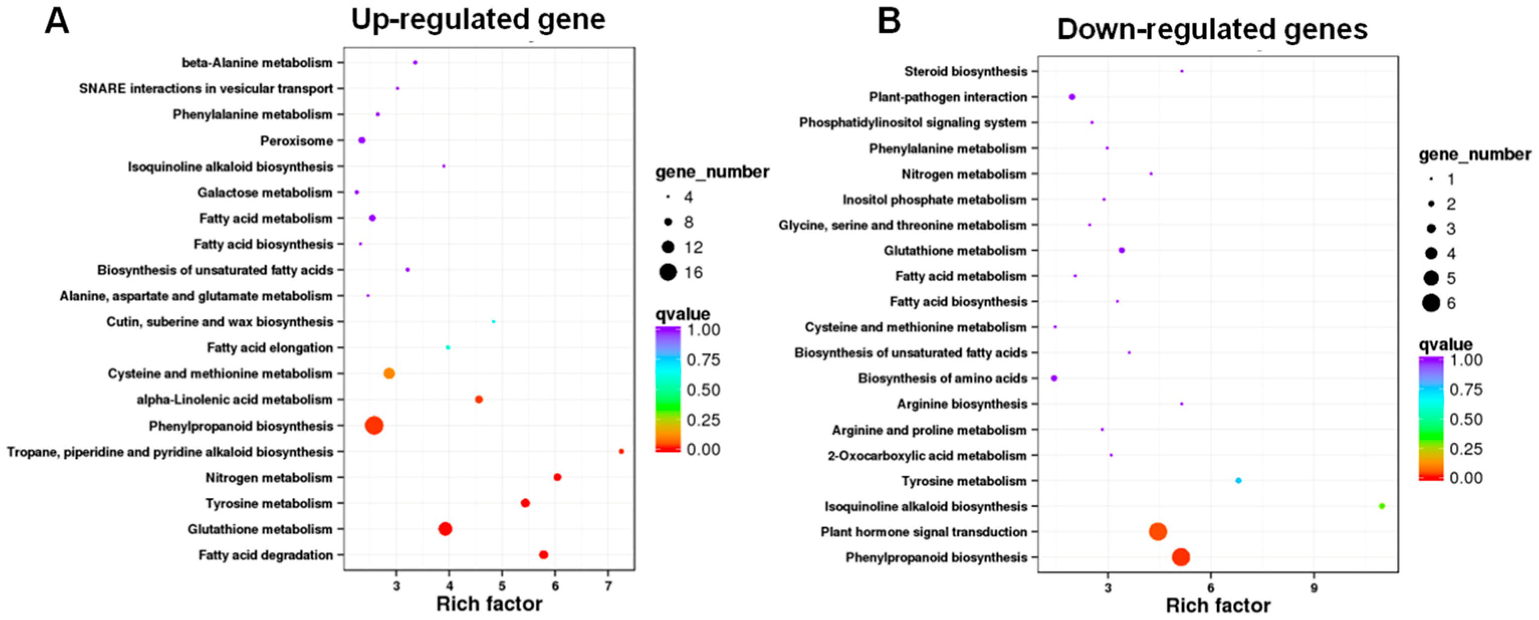 Genes 10 00213 g004 Genes 10 00213 g004