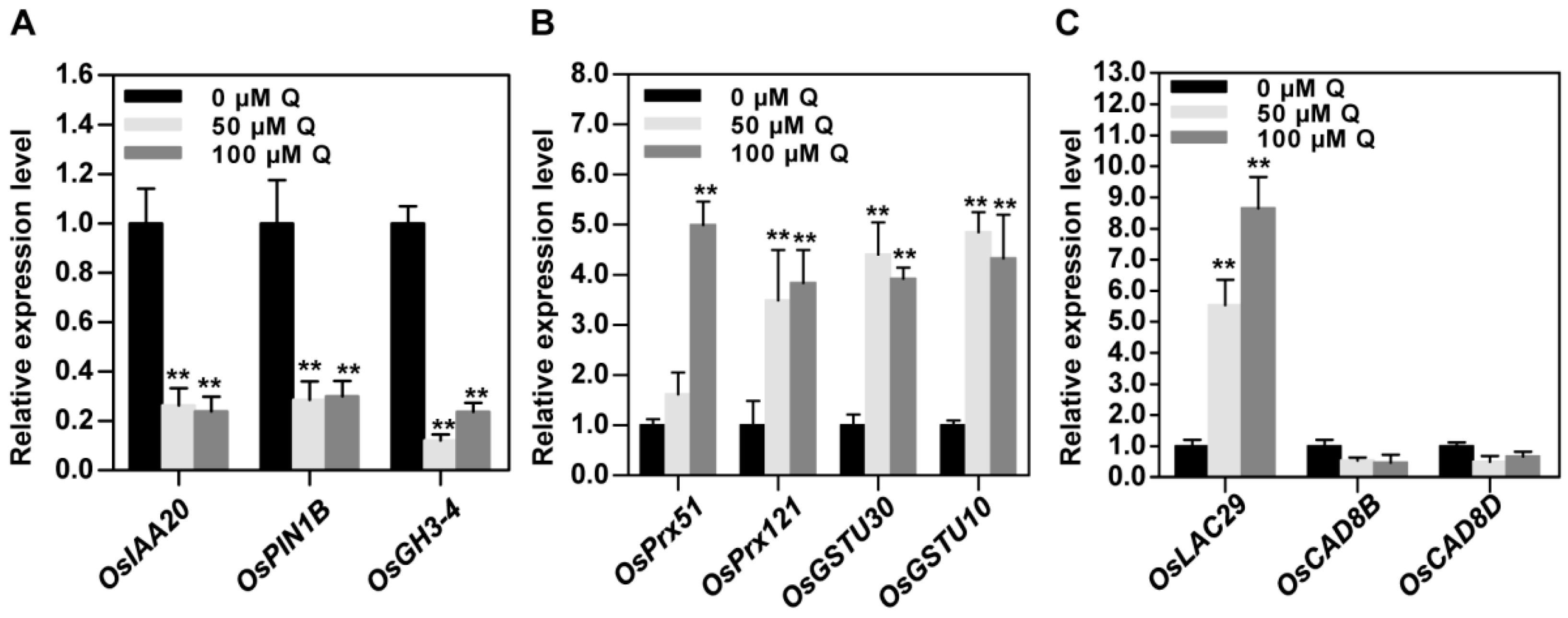 Genes 10 00213 g006 Genes 10 00213 g006