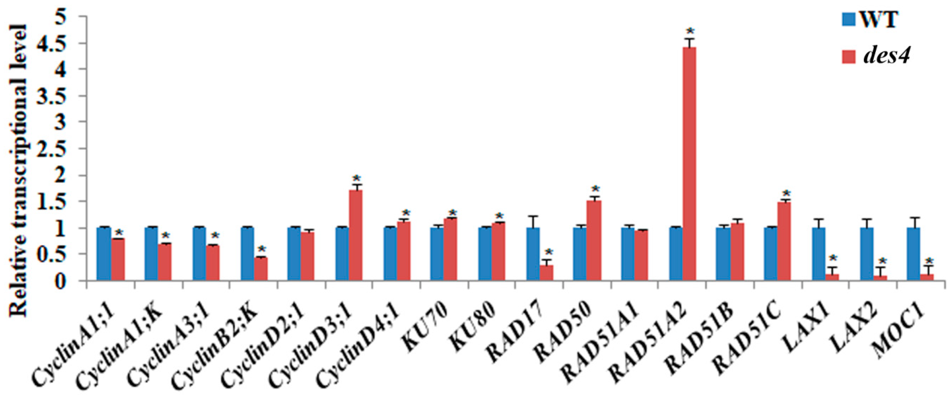 Genes 10 00214 g005