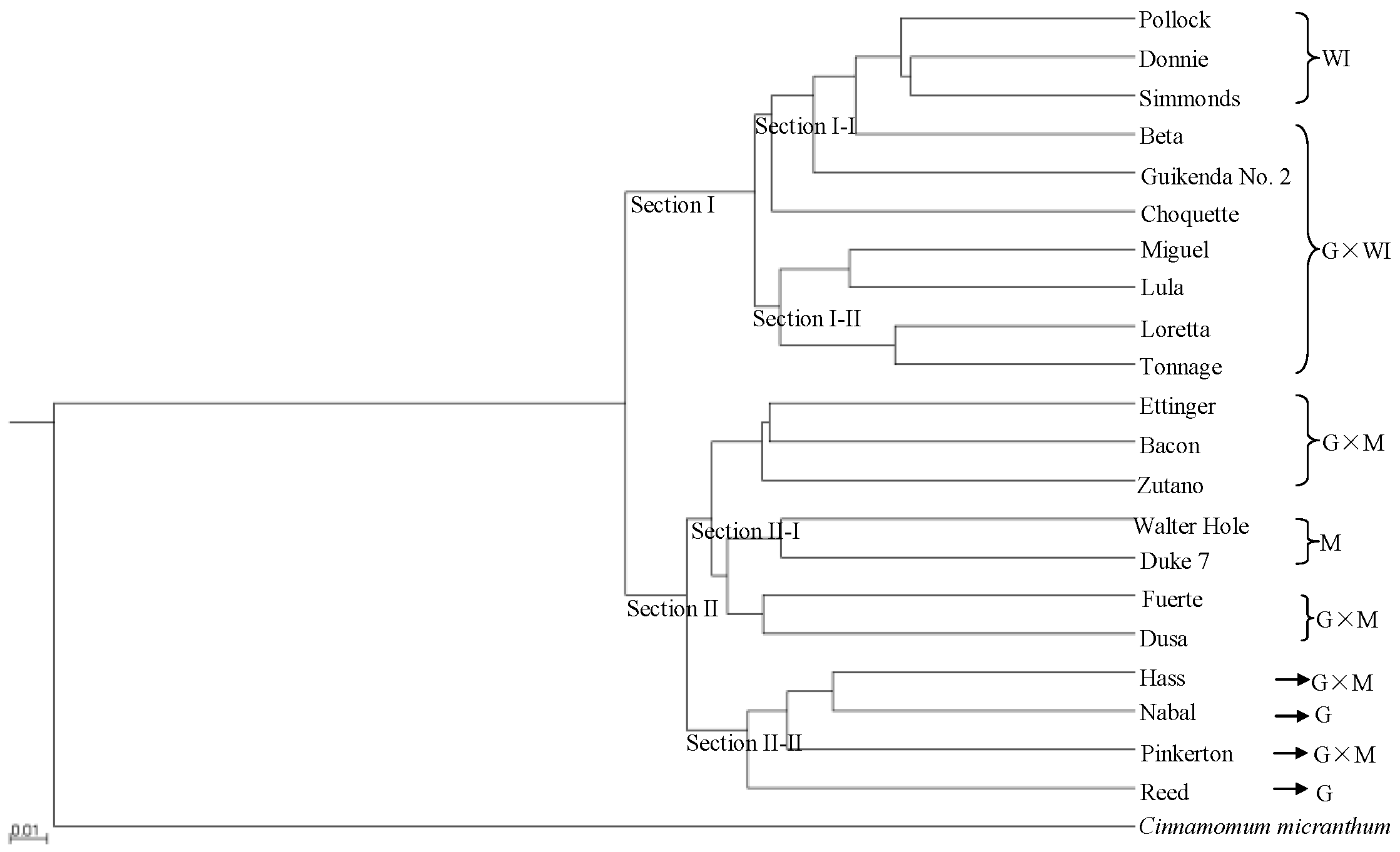 Genes 10 00215 g001 Genes 10 00215 g001
