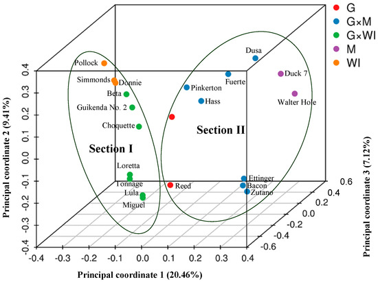 ミックス0専用ページ Genome-Wide Assessment of Avocado Germplasm Determined from