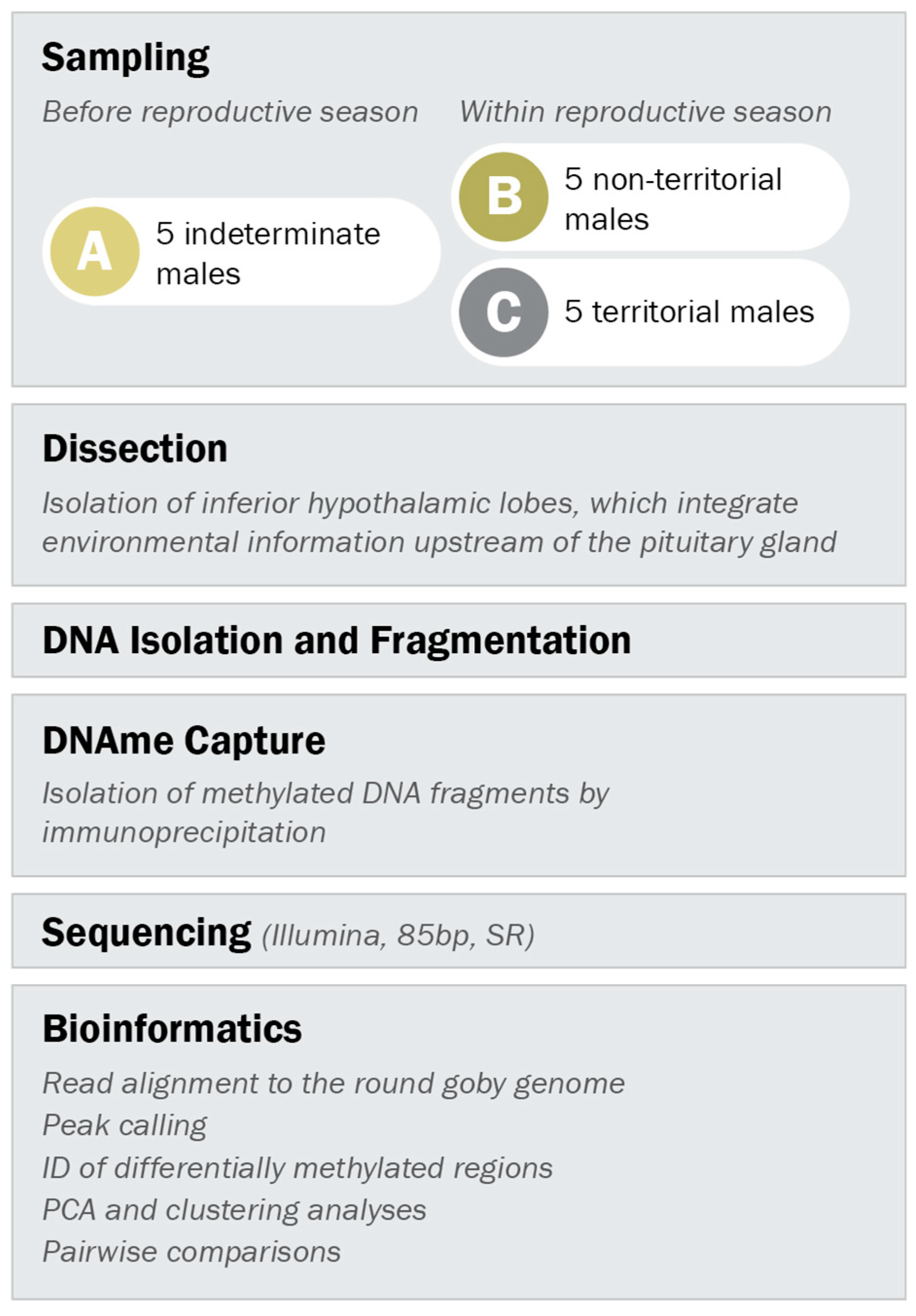 Genes 10 00219 g002