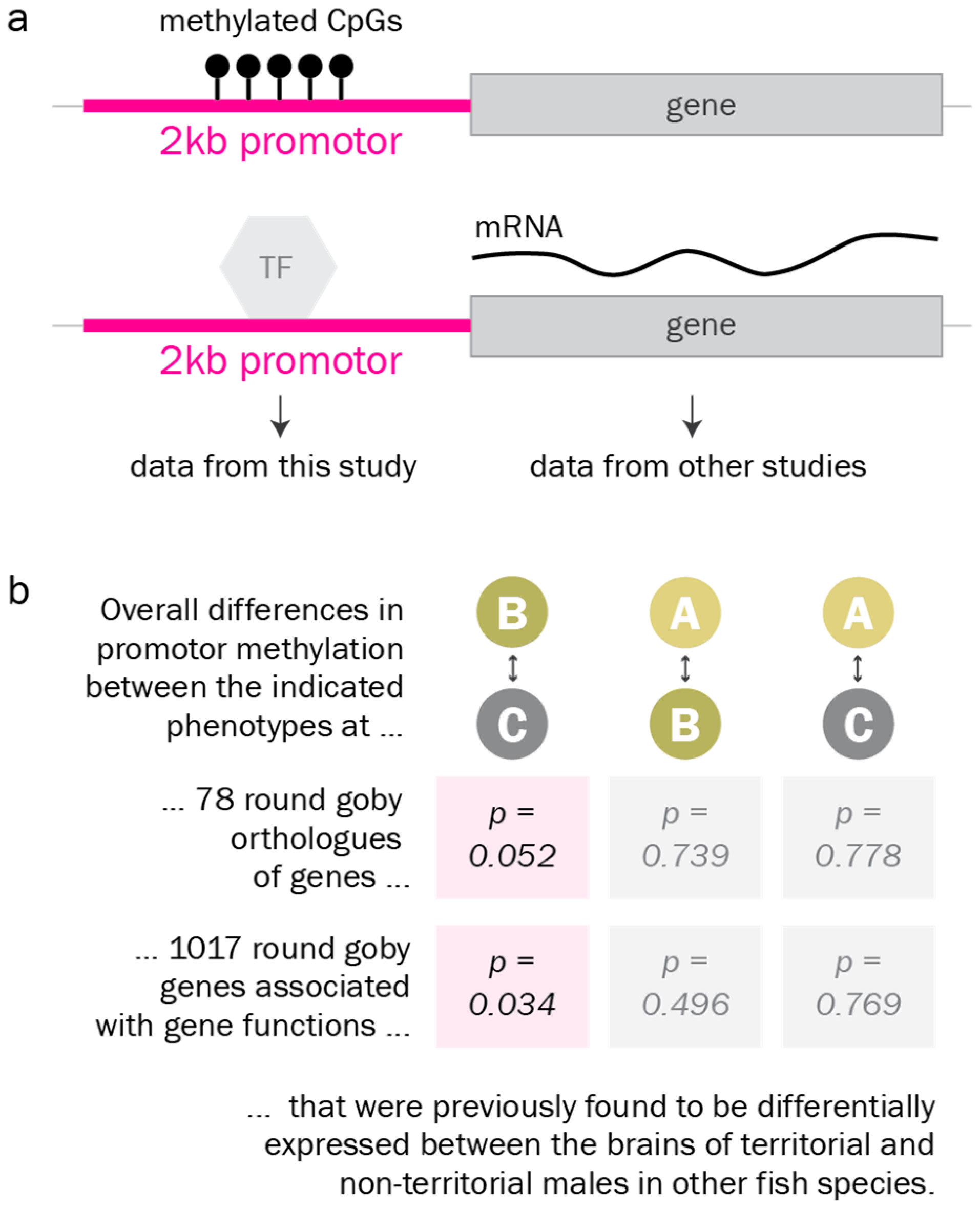 Genes 10 00219 g006