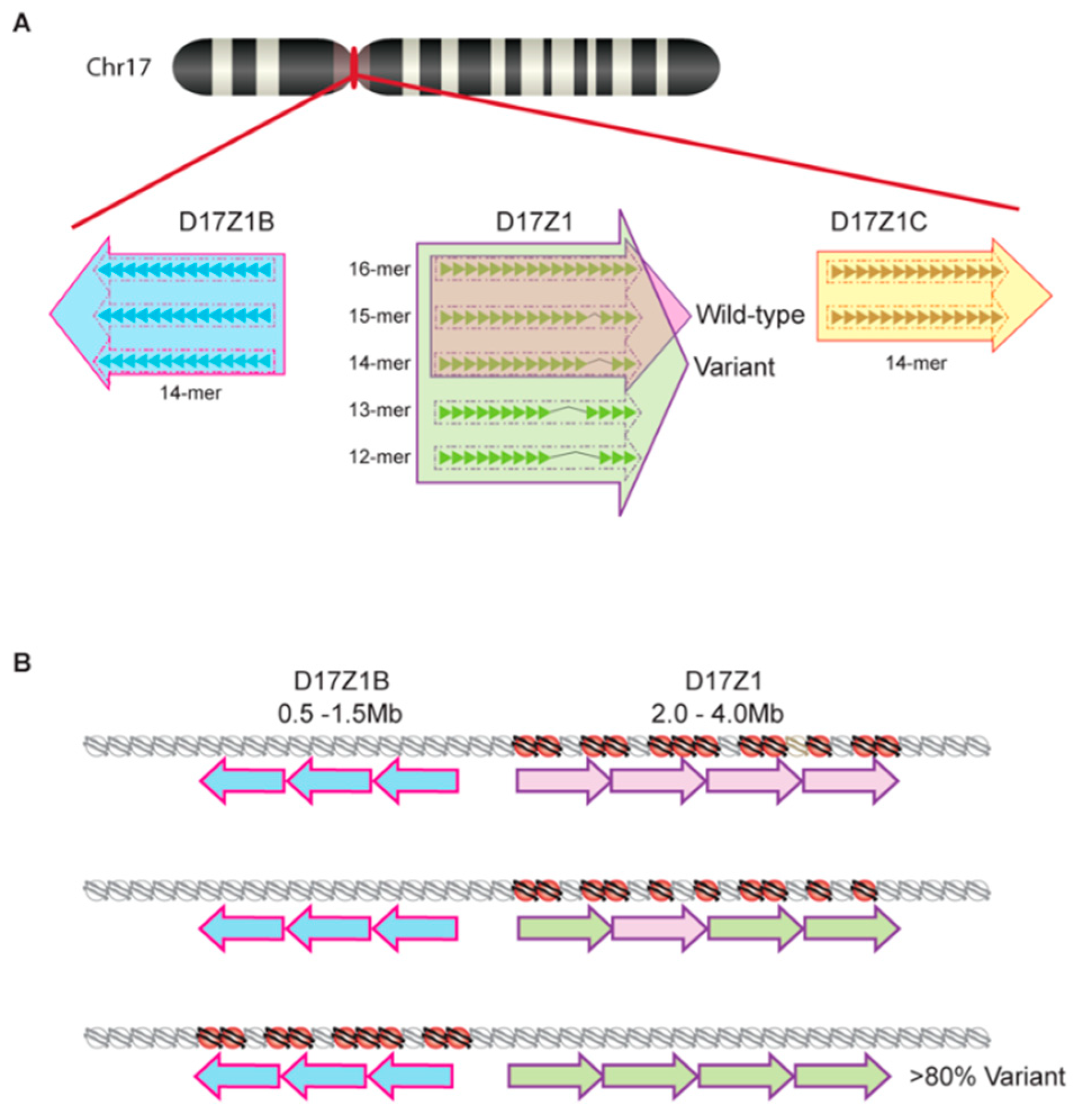 Genes 10 00223 g002 Genes 10 00223 g002