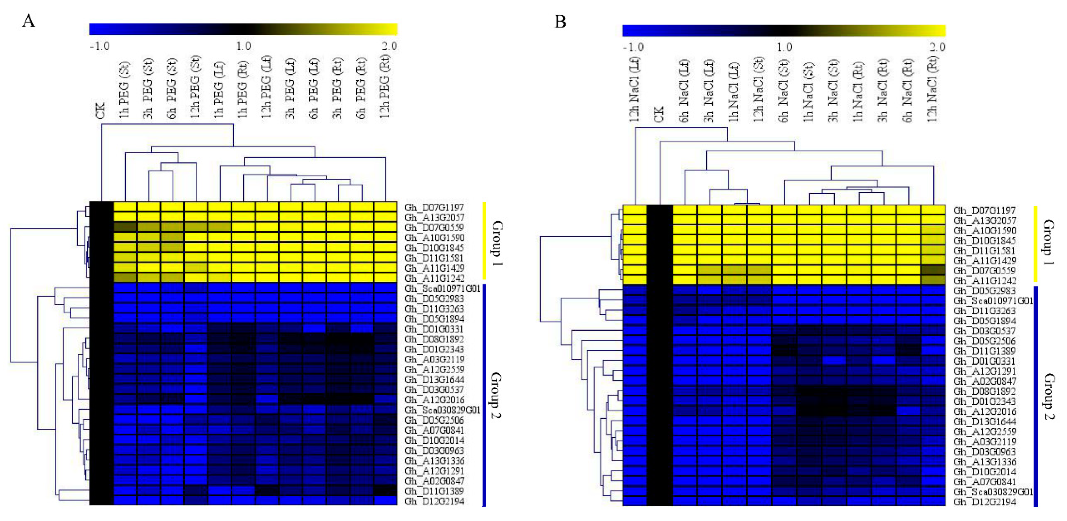 Genes 10 00226 g002
