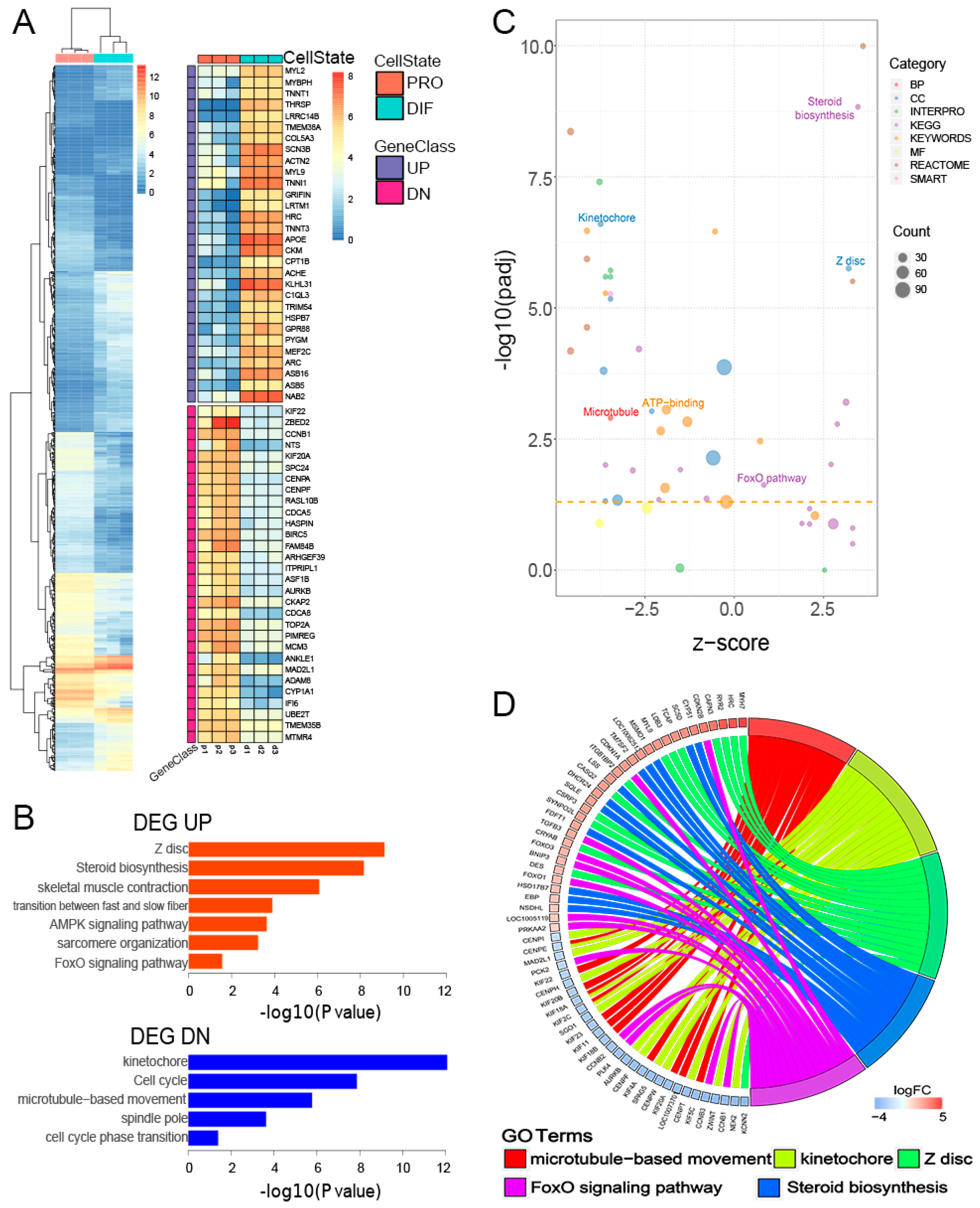 Genes 10 00231 g002