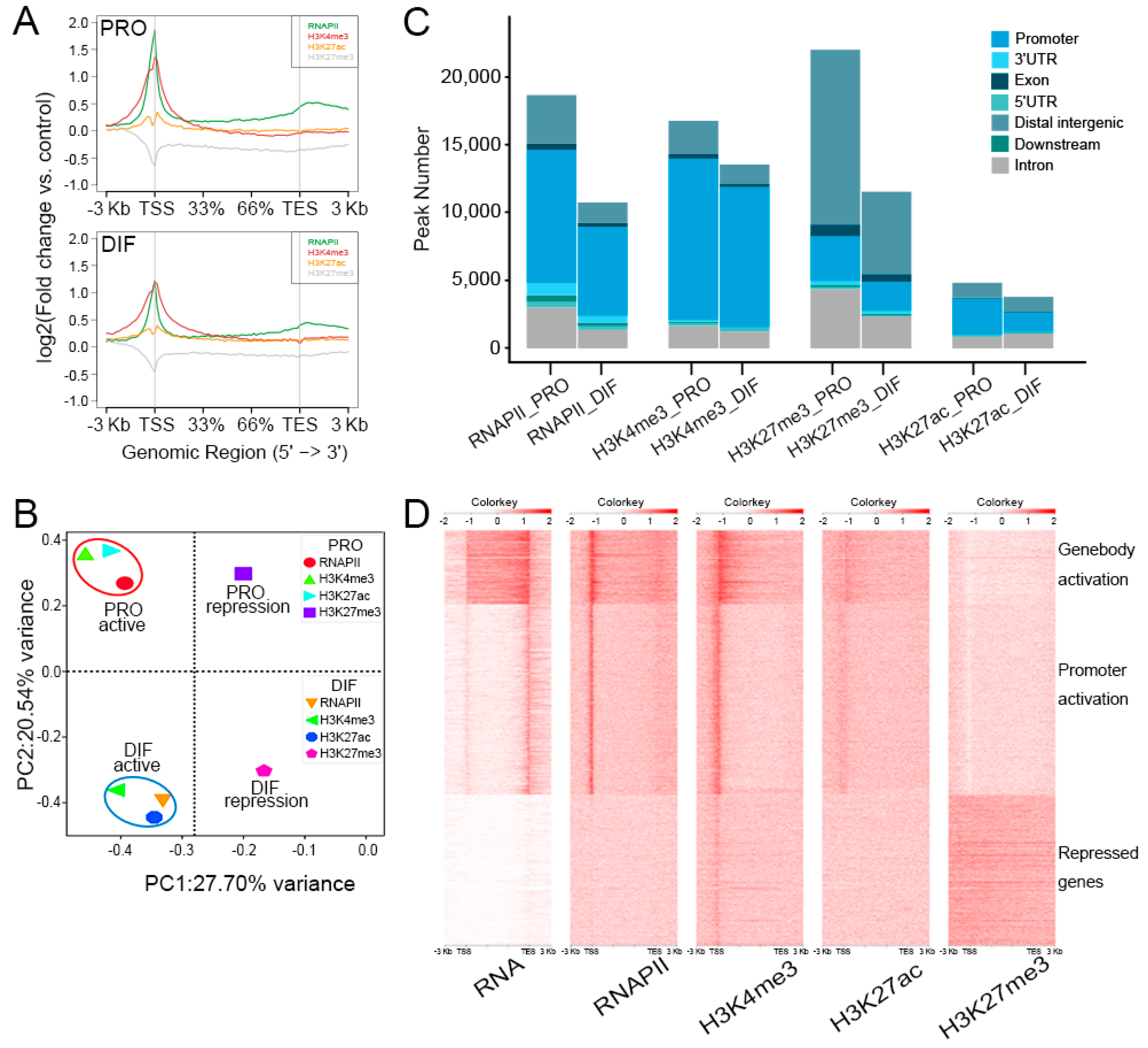 Genes 10 00231 g003