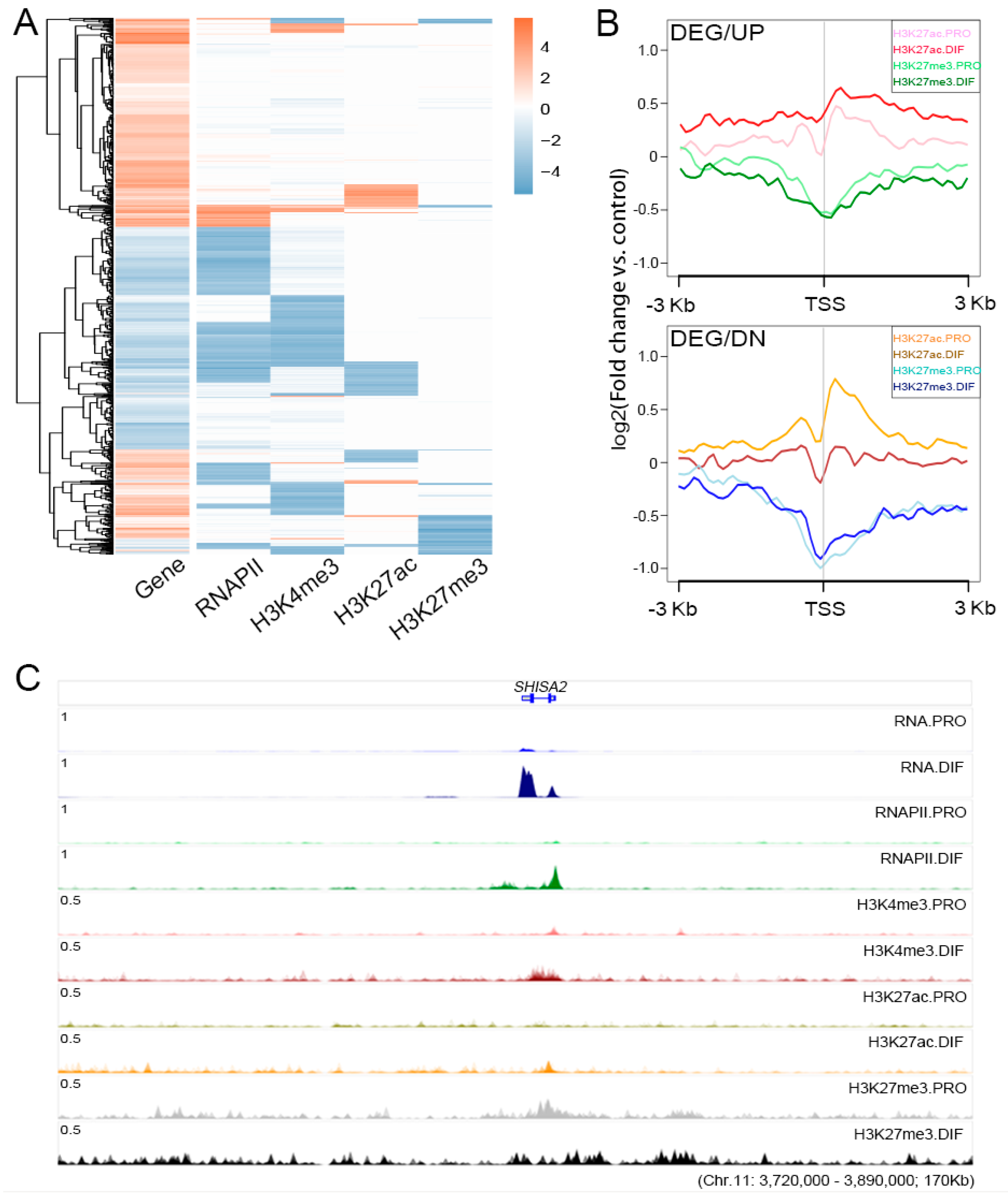 Genes 10 00231 g004