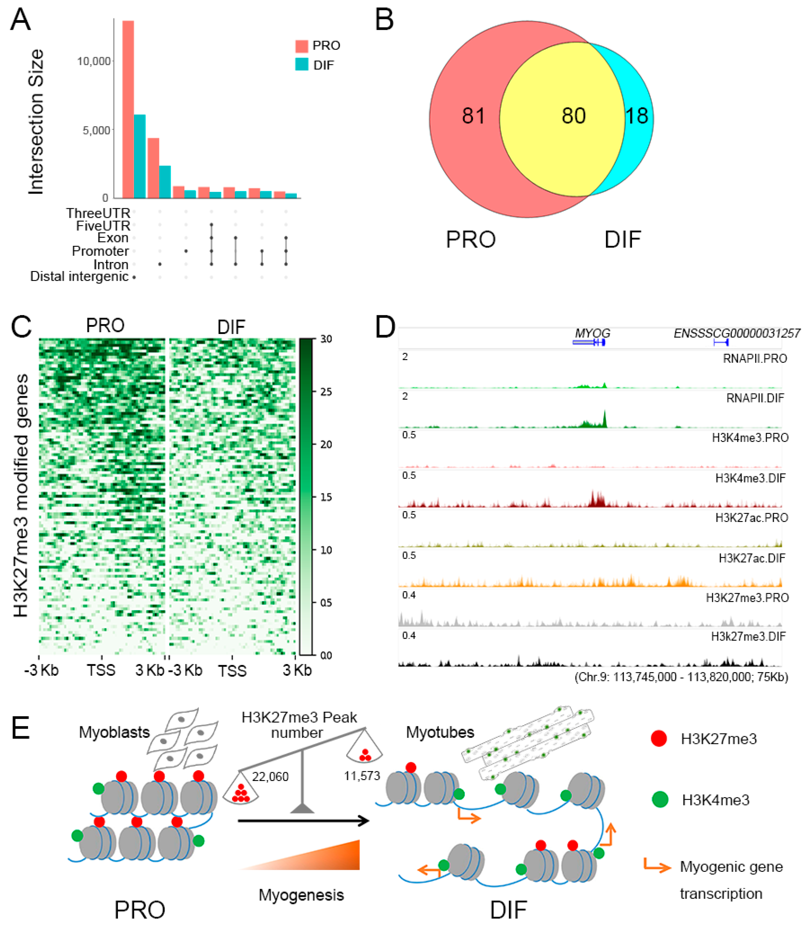 Genes 10 00231 g005