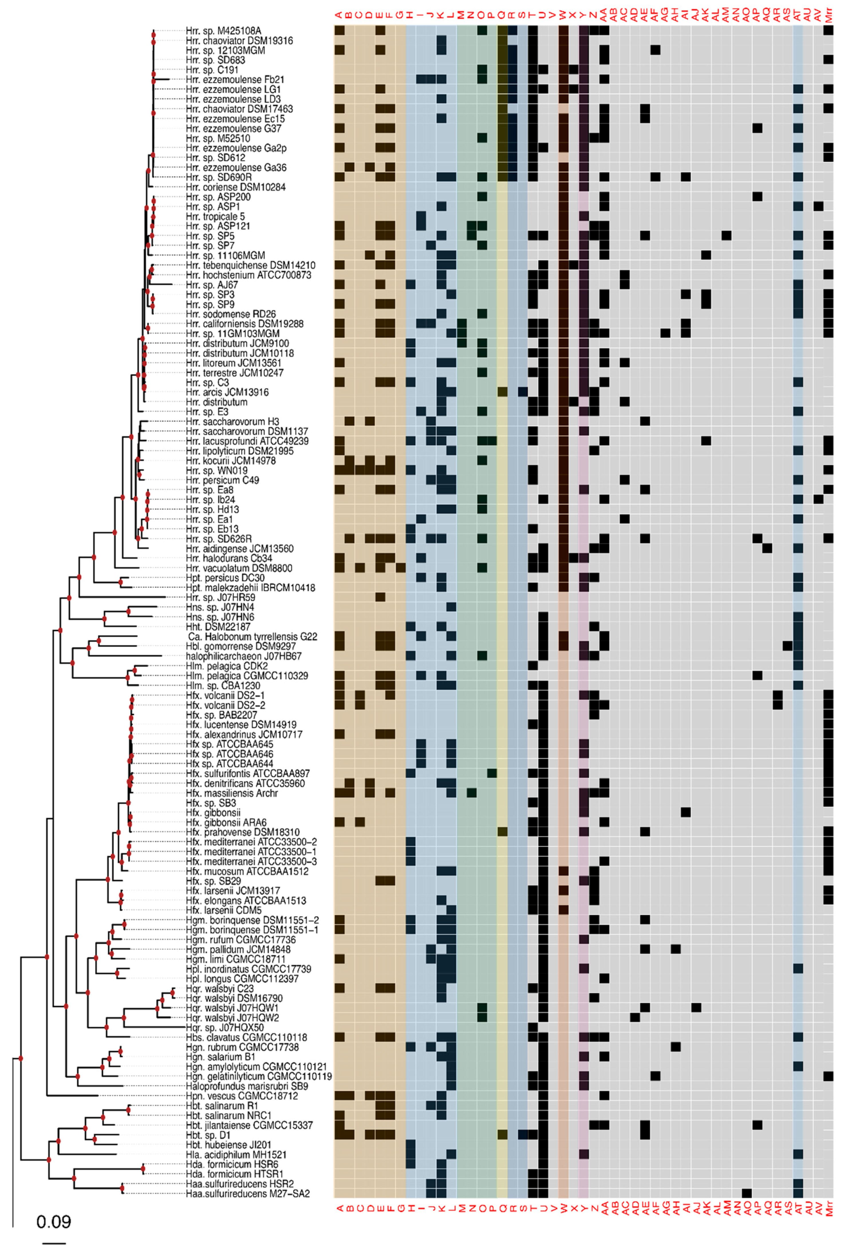 Genes 10 00233 g002a Genes 10 00233 g002a